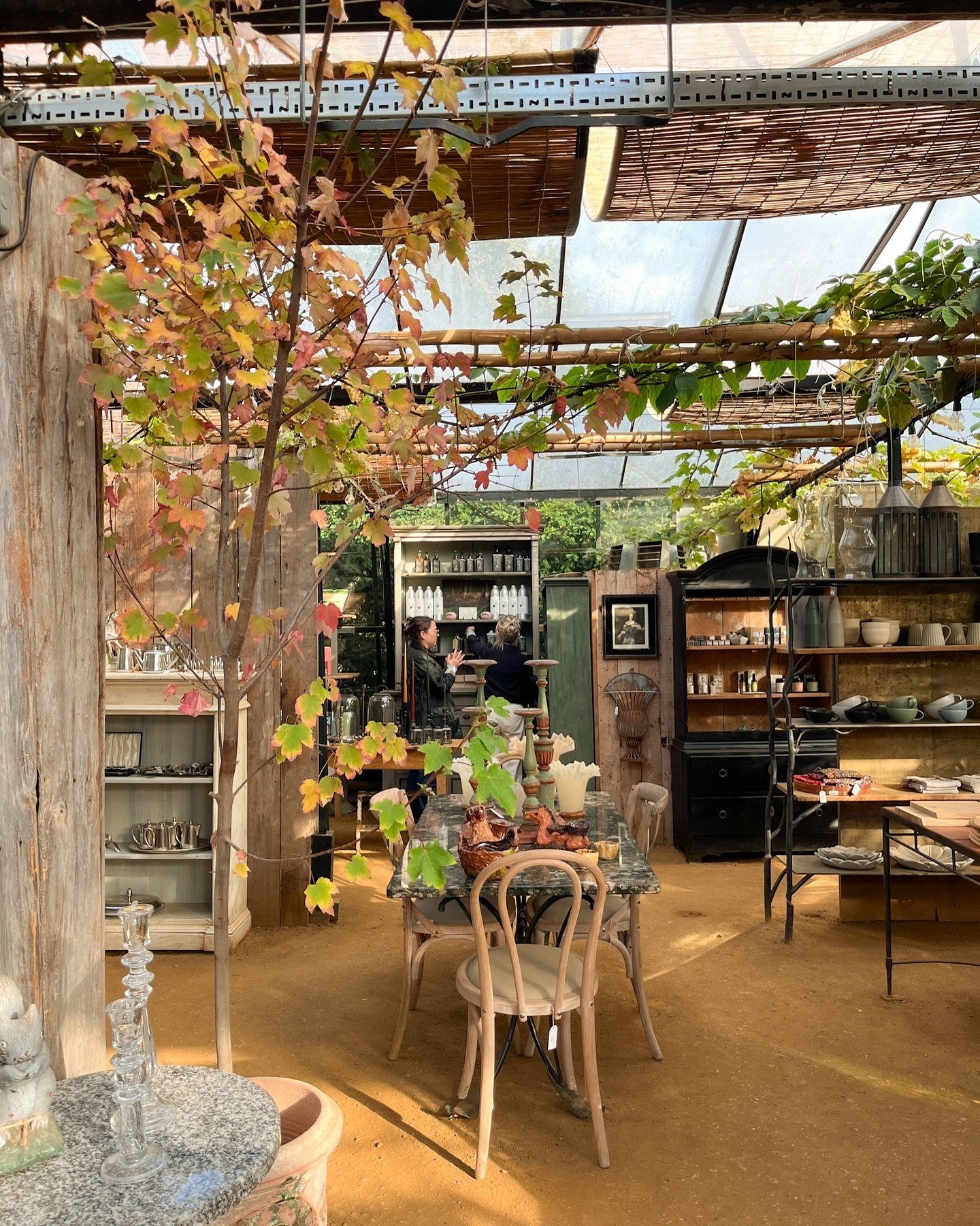 Autumn at Petersham Nurseries 🍁🍂 

#petershamnurseries #autumninlondon #londonautumn #richmonduponthames @petershamnurseries