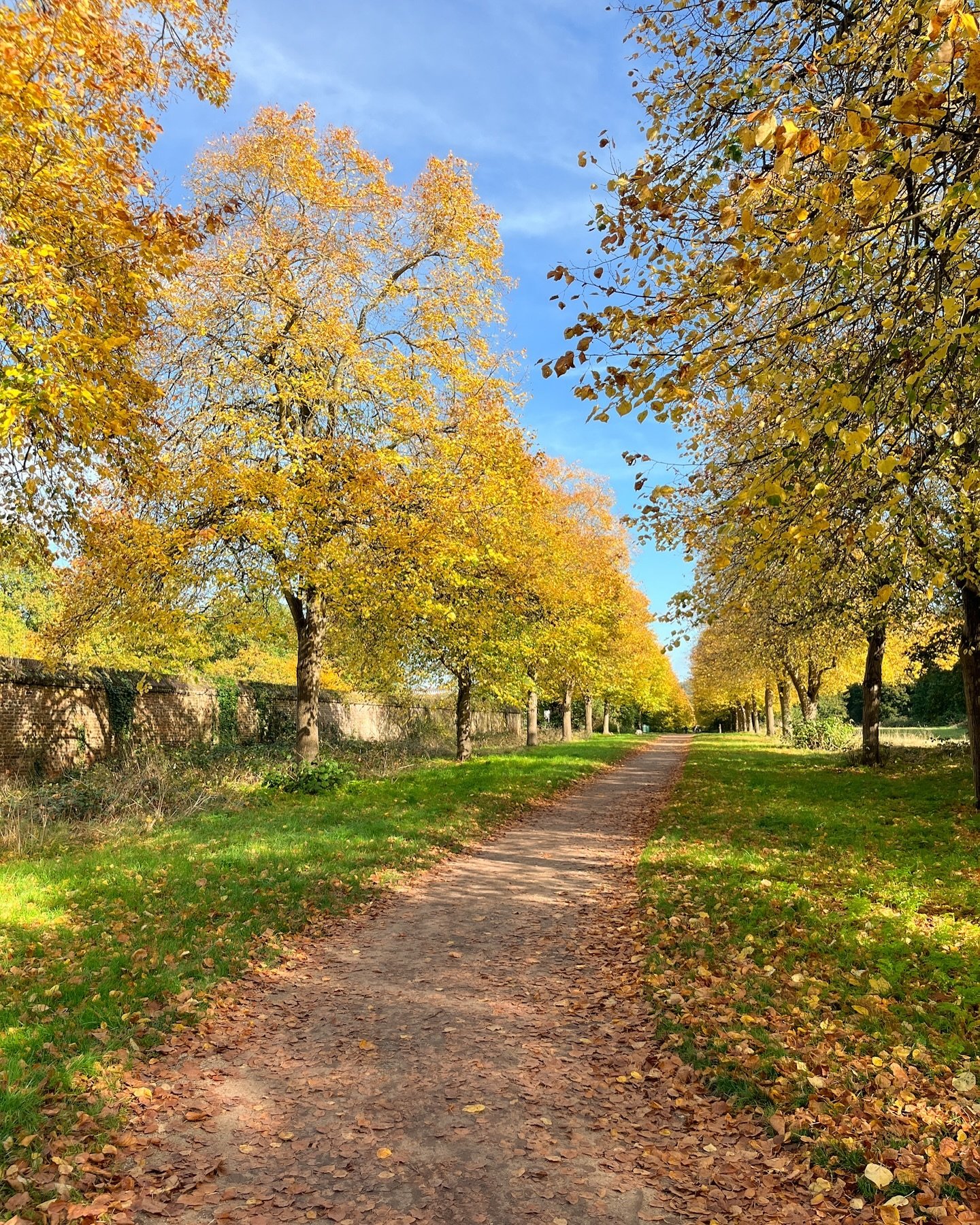 Autumn in Richmond 🧡🍂 Ham House, Richmond riverside, the cute shops on Richmond Hill, and the Ted Lasso alleyway near Richmond Green. Never get tired of this. 

#richmonduponthames #hamhouse #autumninlondon