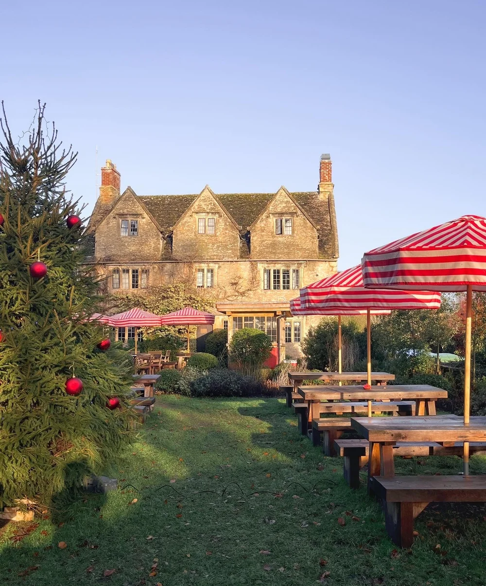 double red duke5.JPG