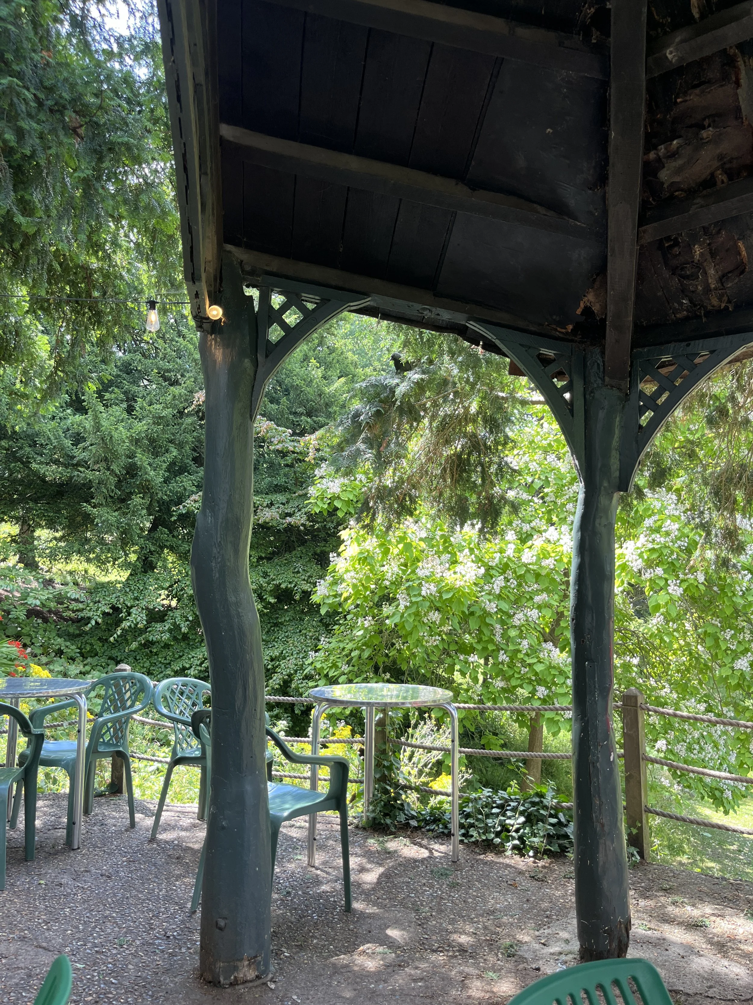 hollyhock cafe richmond london6.JPG