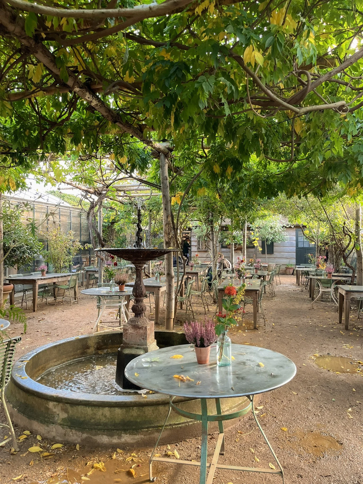 petersham nurseries cafe autumn.jpg
