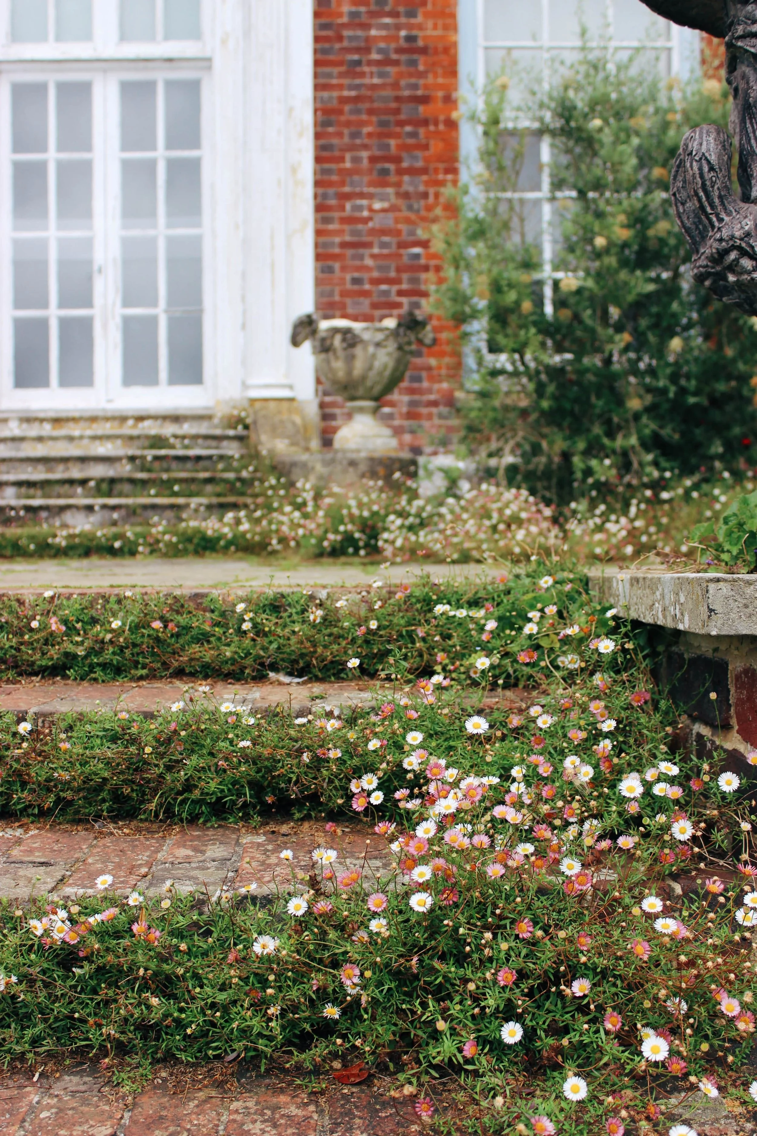 Spray of pink and white flowers growing on brick steps of national trust hinton ampner house