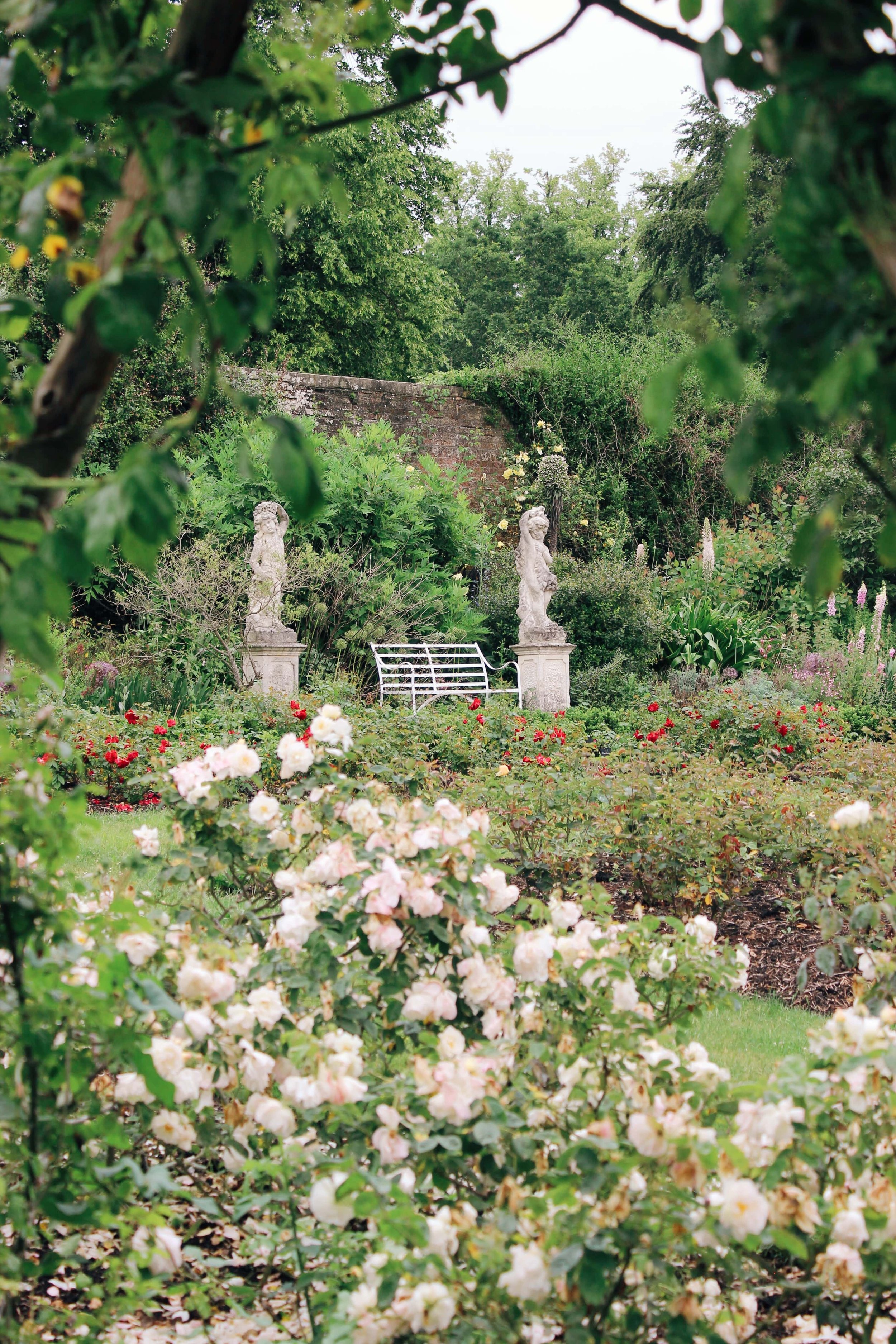 rose garden at polesden lacey