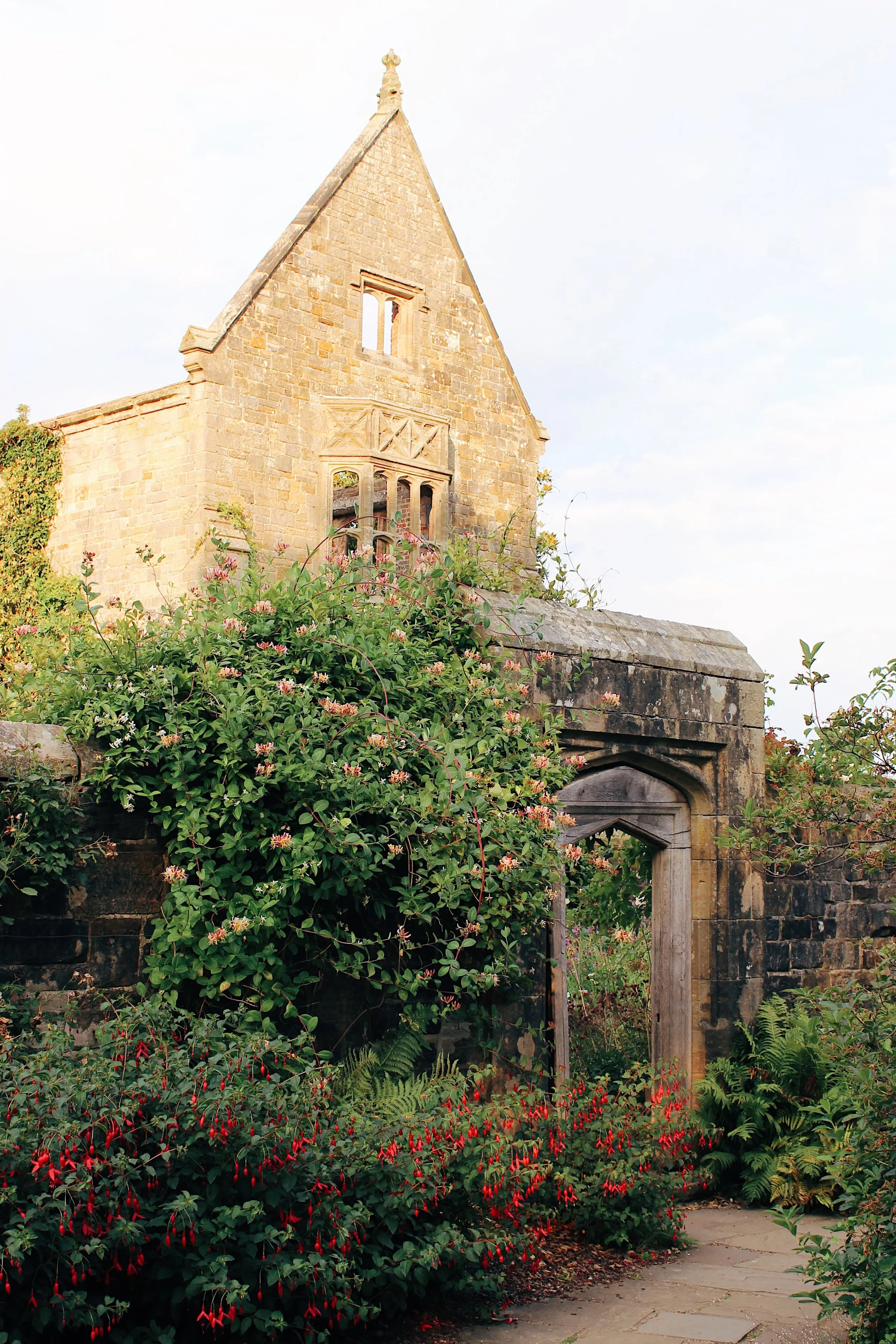 Golden sunlight on the ruin house at nymans national trust sussex