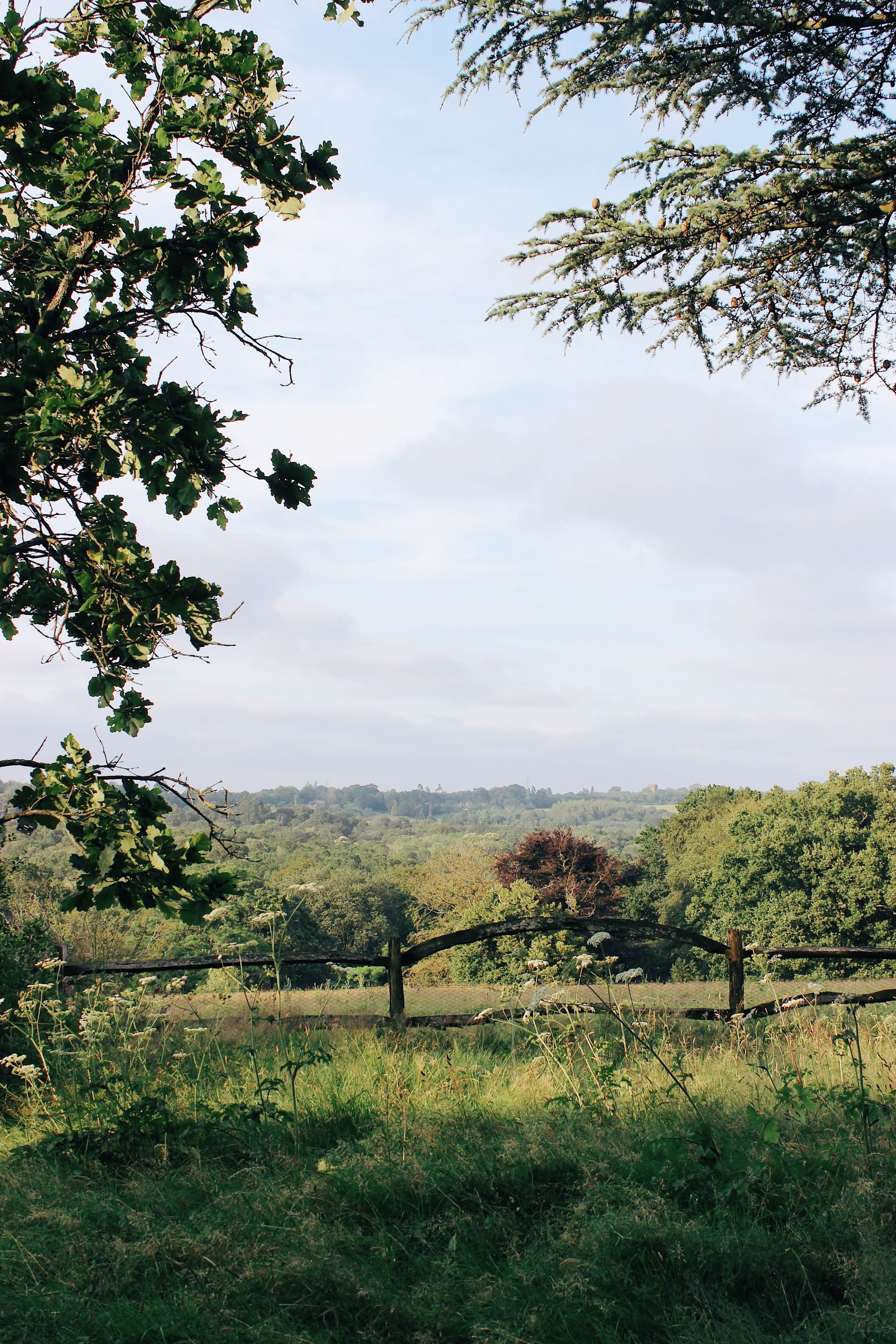 view over the sussex countryside at nymans national trust