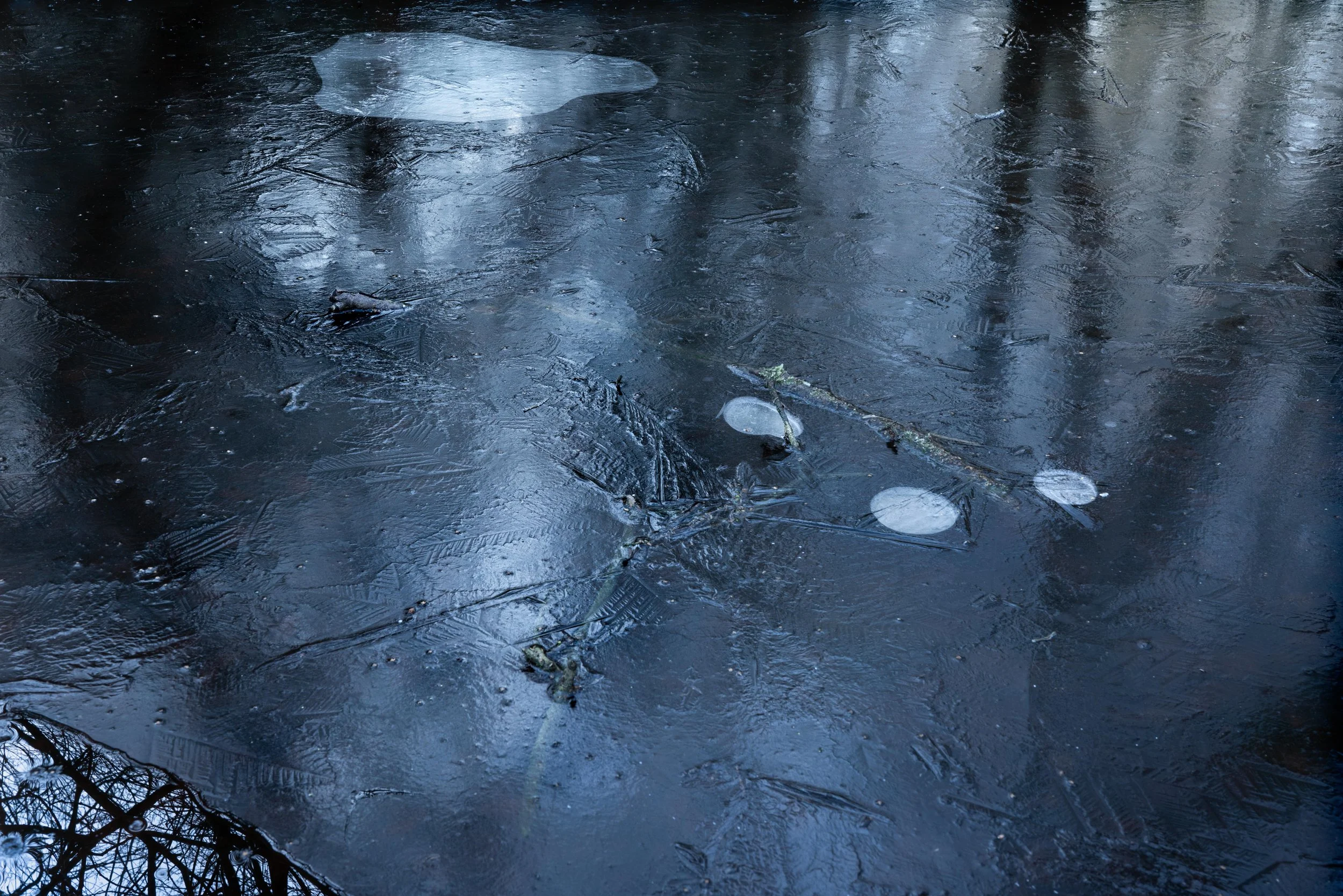 Reflections of a Loser.jpg