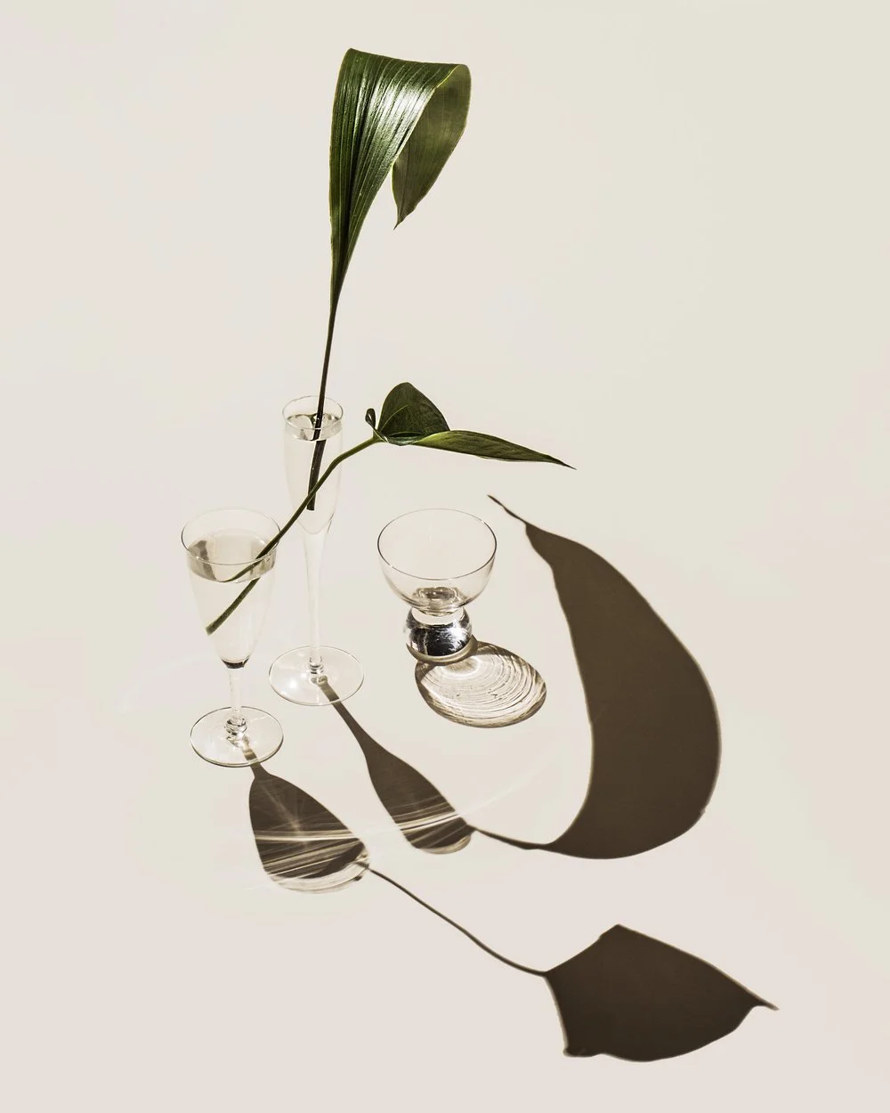 Shadow Series, 2016-2017