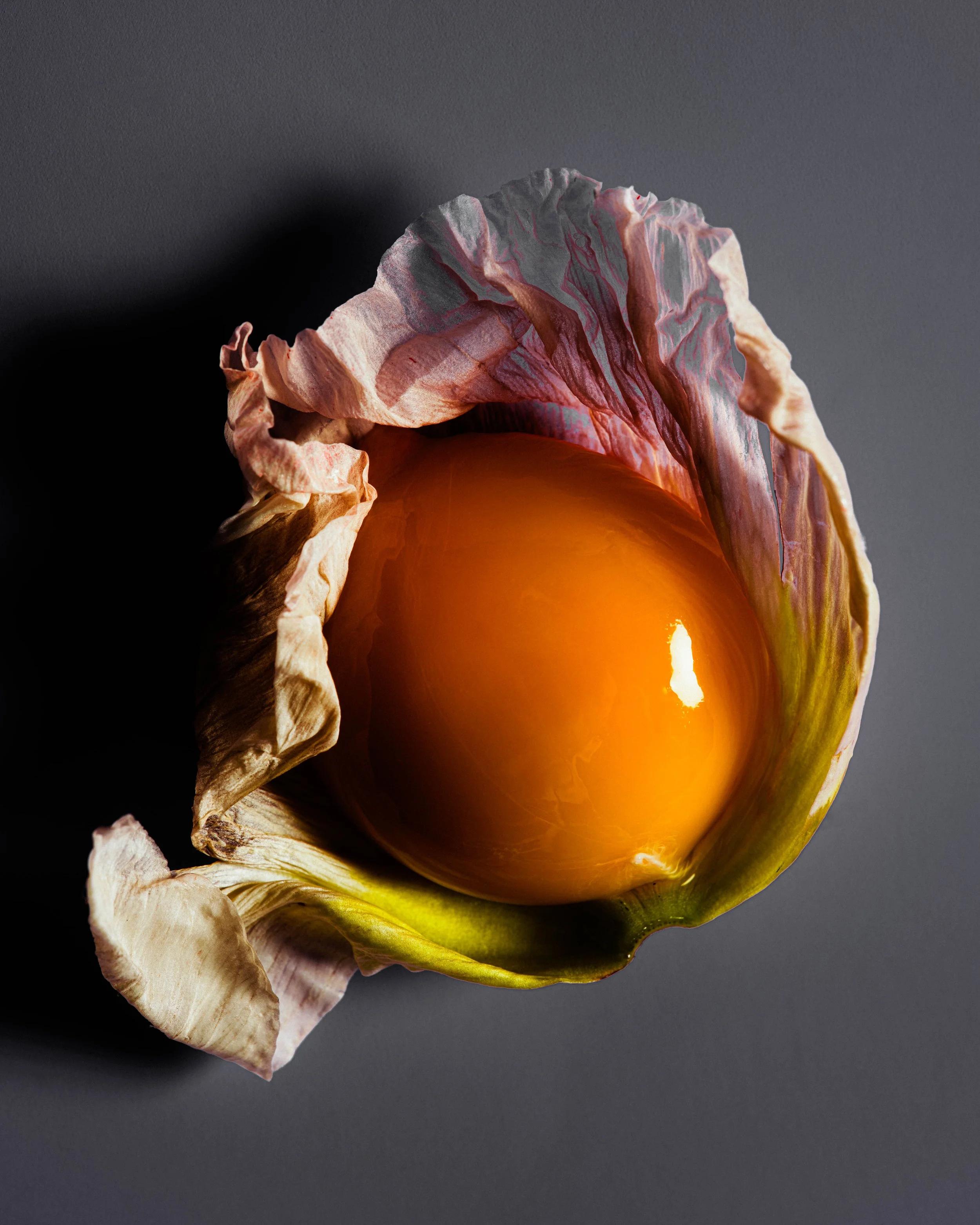 SUZANNESAROFF.EGGS7204 (1).jpg