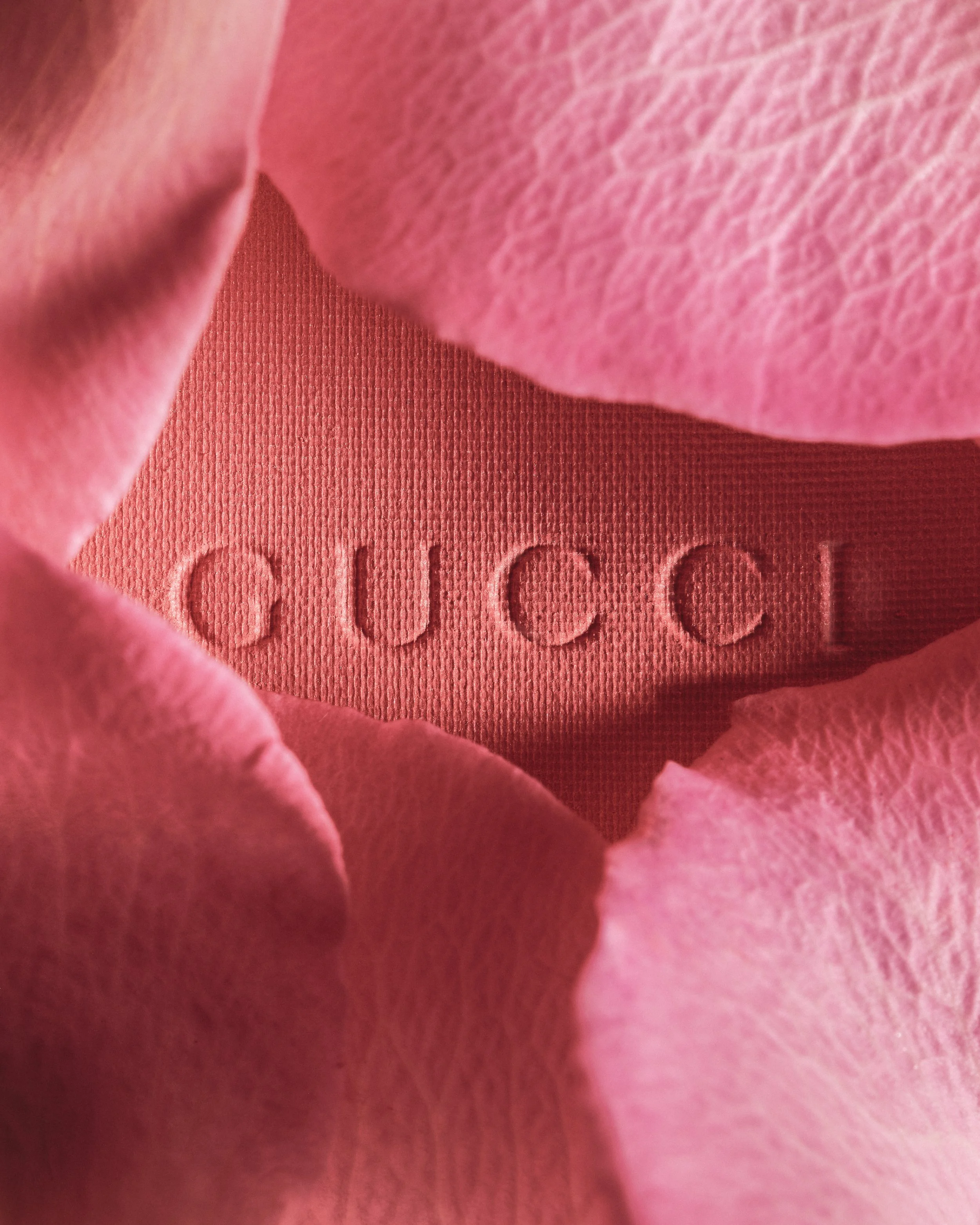Gucci - The Art of Beauty