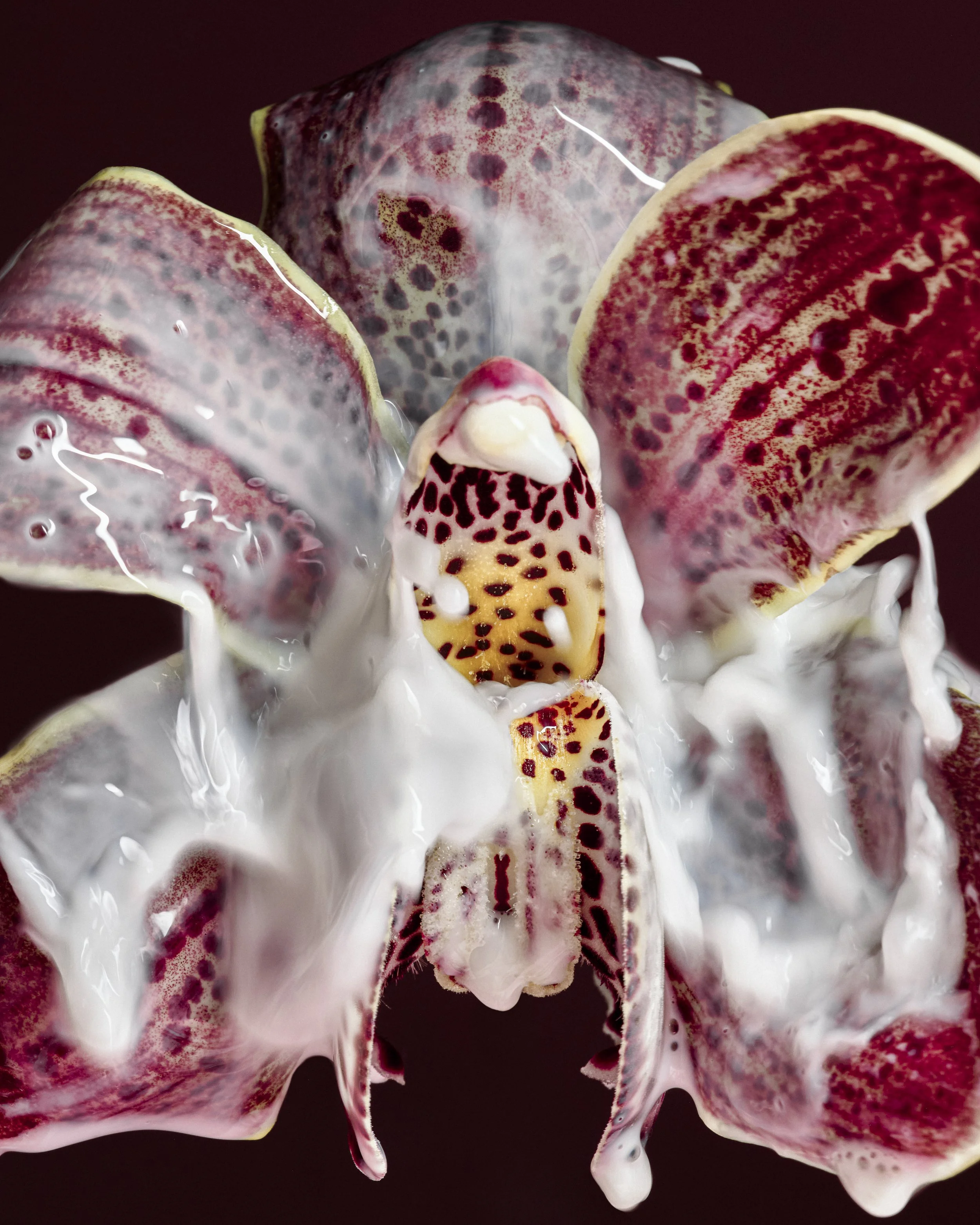 FLOWERS_SAROFF3246 2.JPG