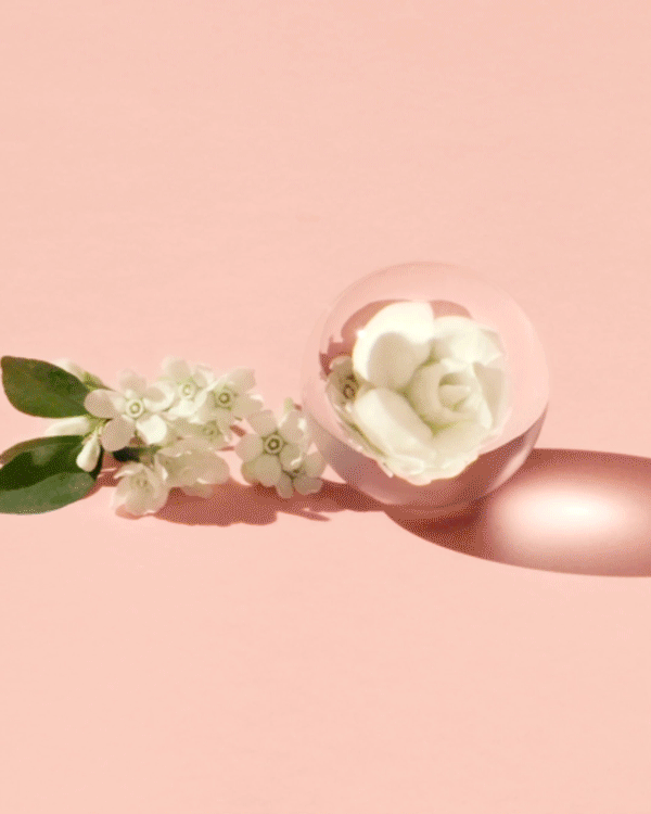 CK Fragrance