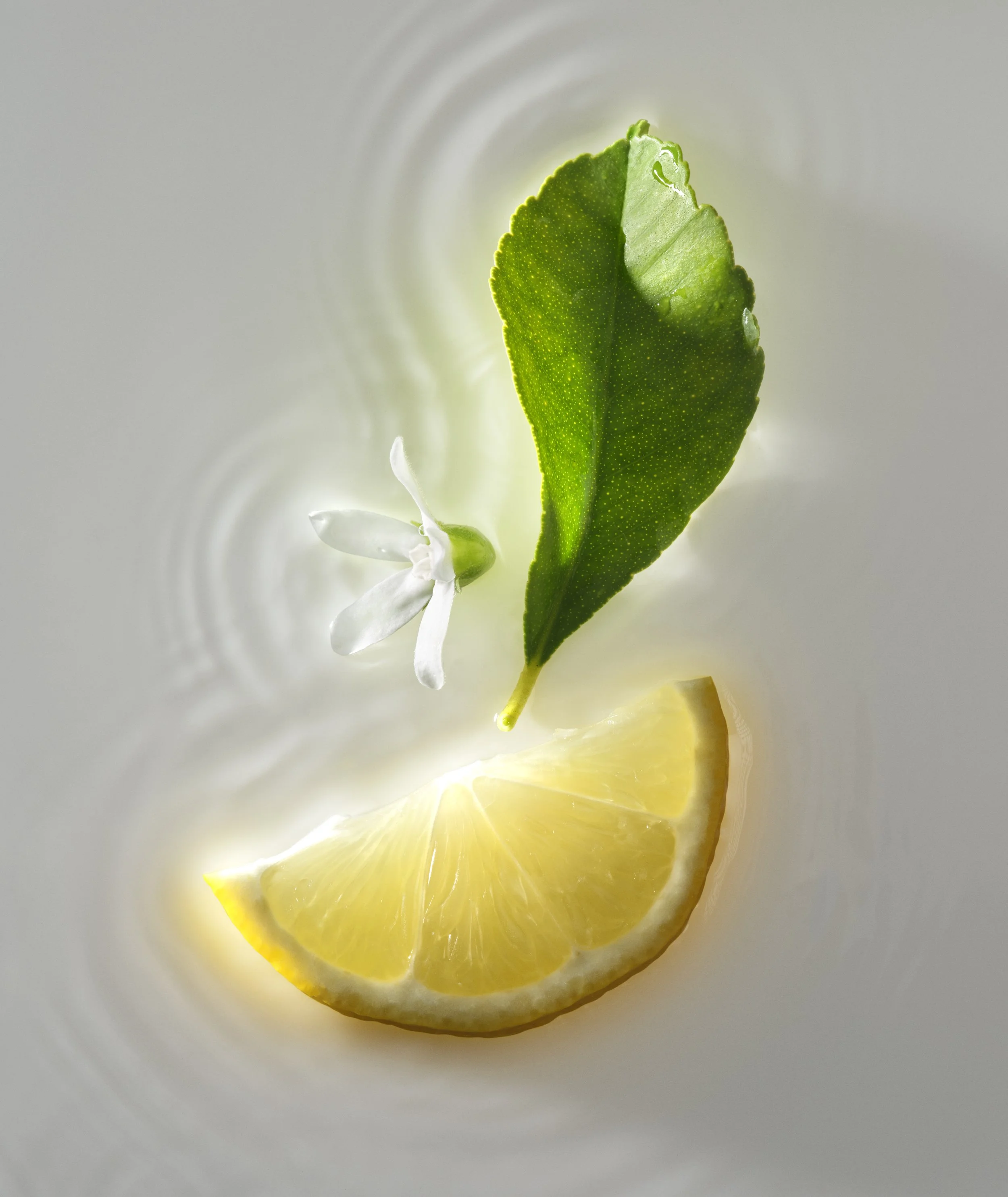 Pacific Dreams_Fragrance_Lemon_PE_2024_051_FINAL.jpg
