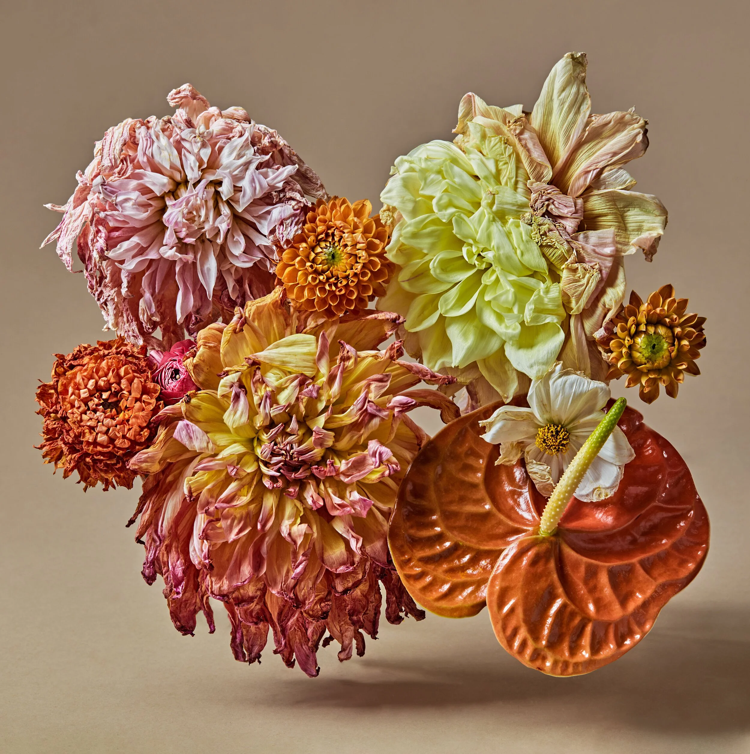 flowers0119-SuzanneSaroff.jpeg