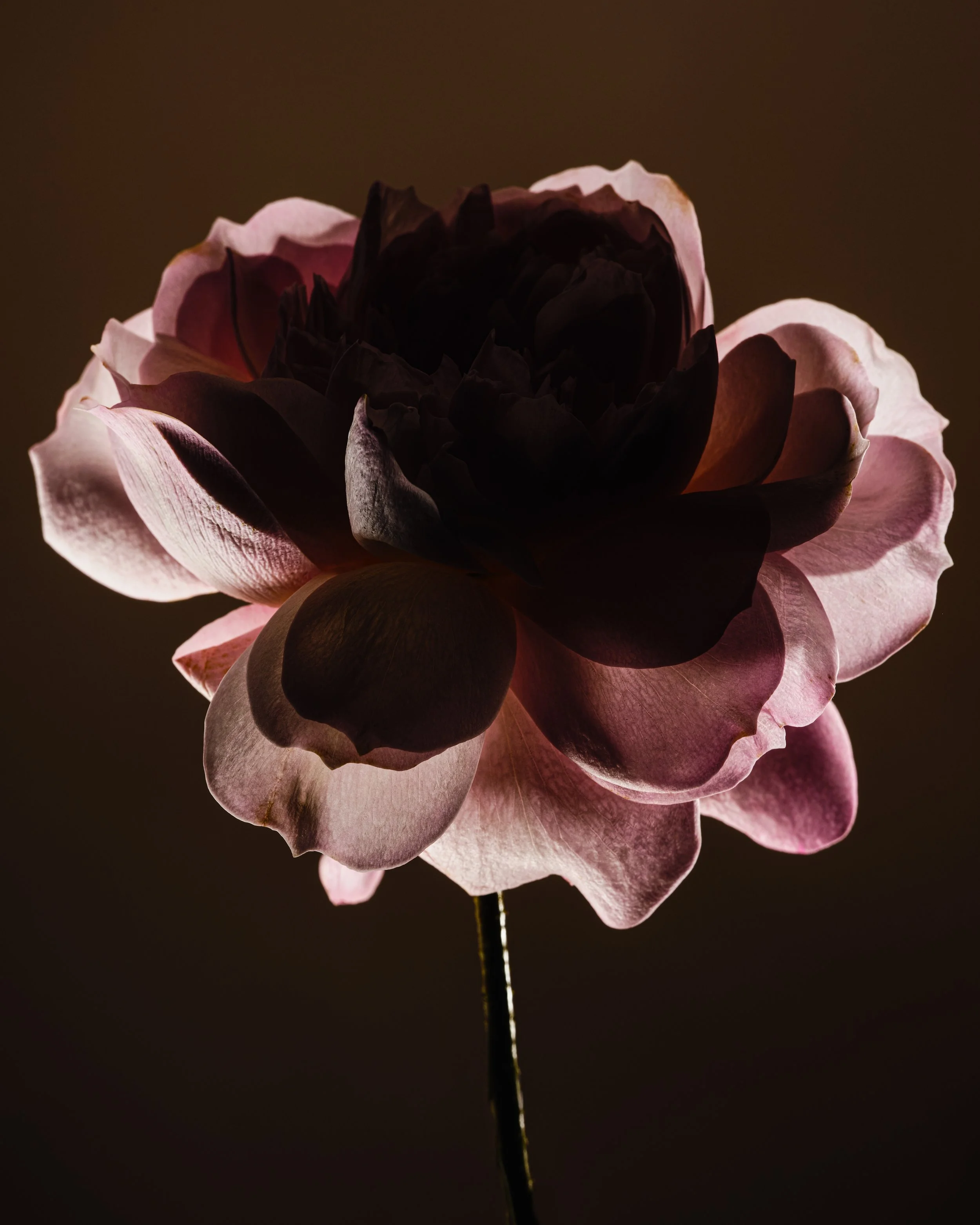 Feb14.20241277-Edit.JPG