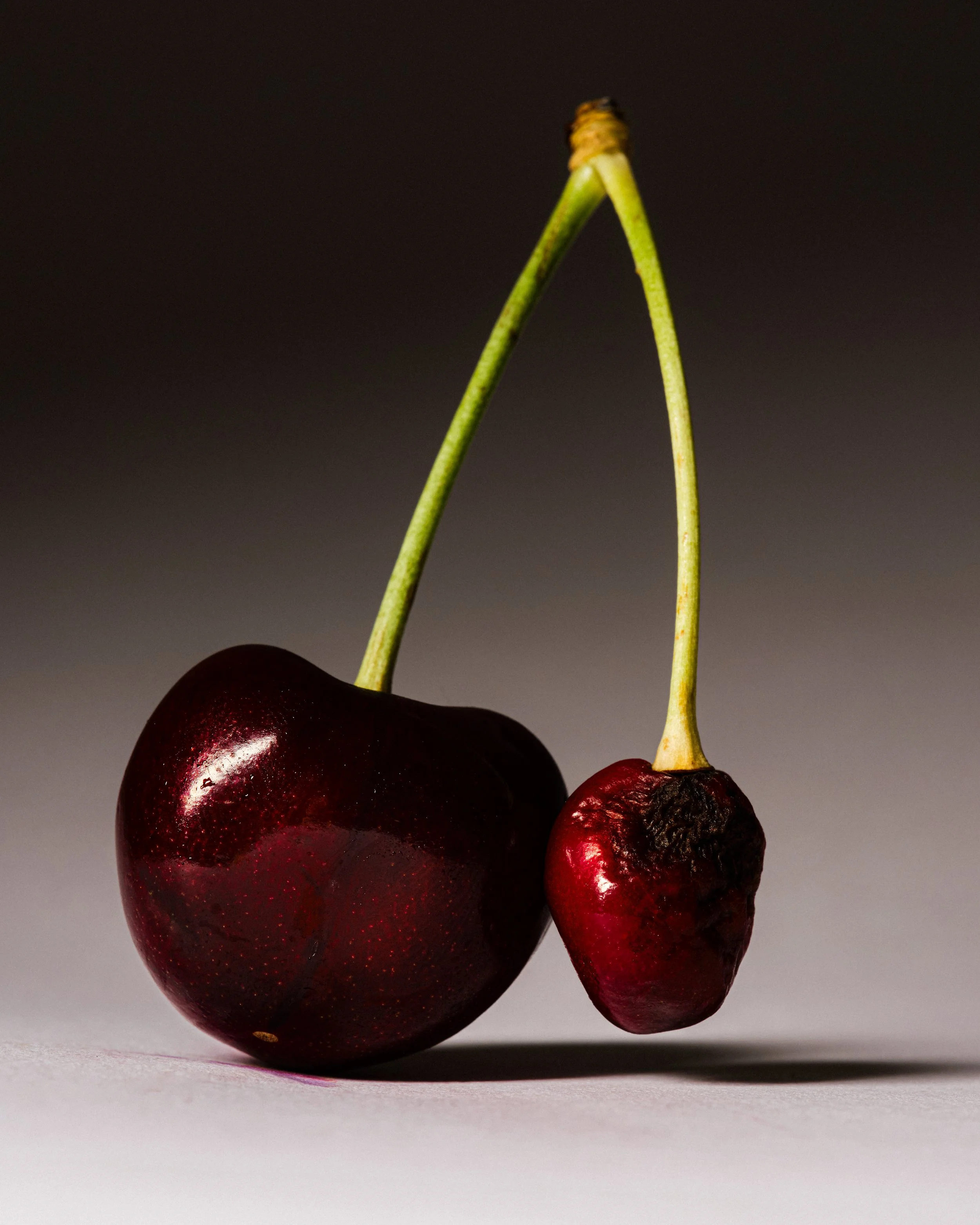 Fruit
