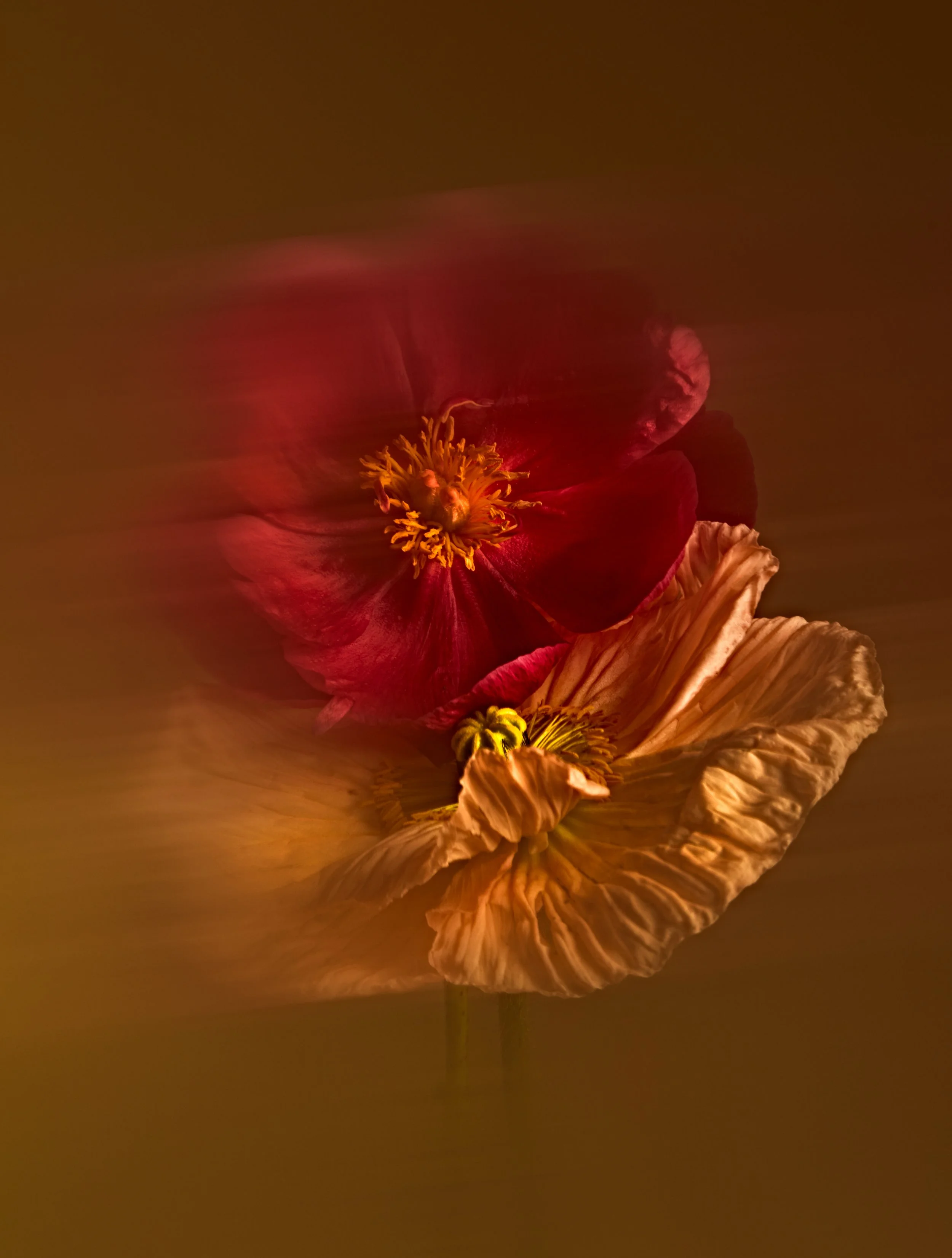 Floers May 236477-Edit.JPG