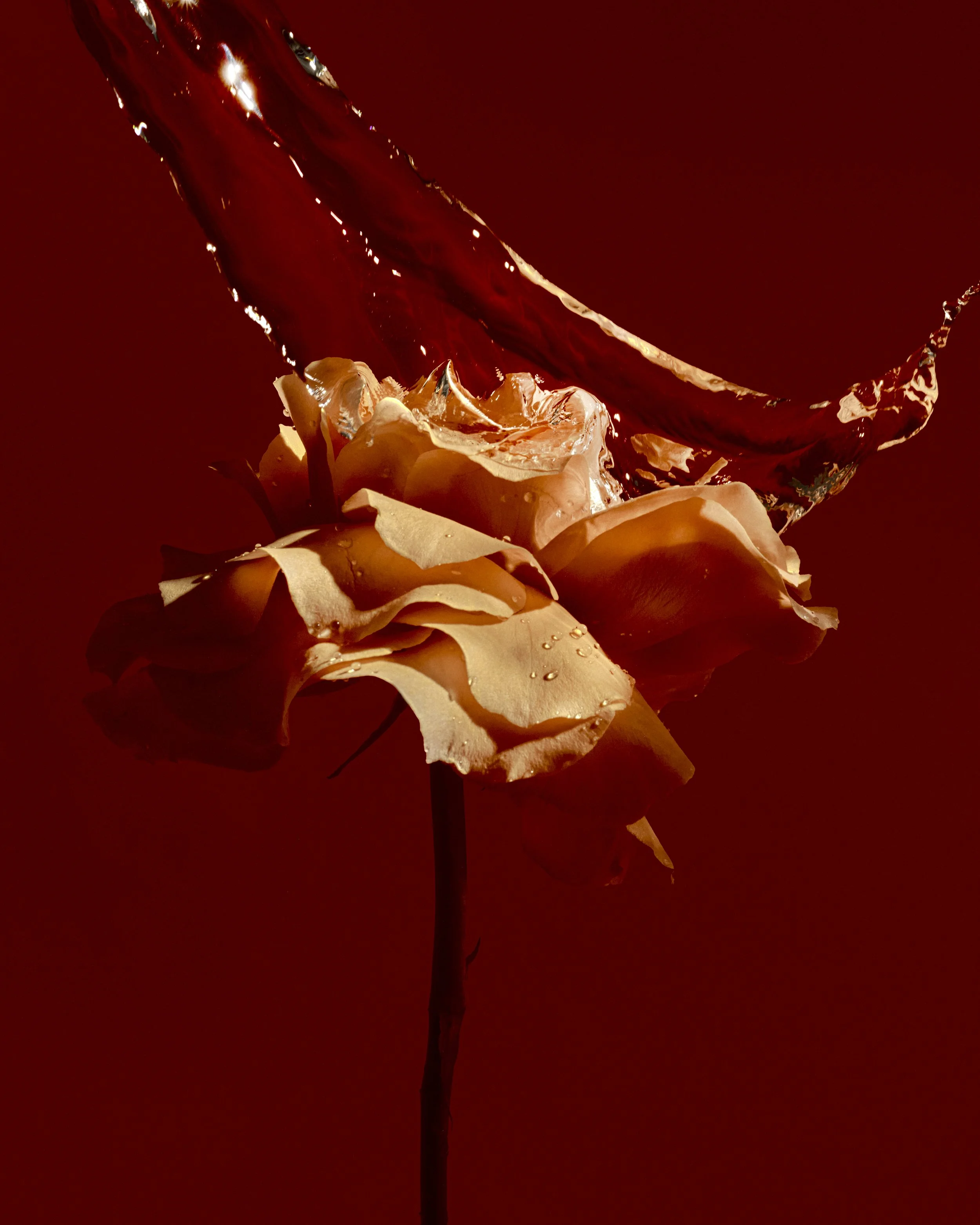 FLOWERS_SAROFF12543_ 3.jpg