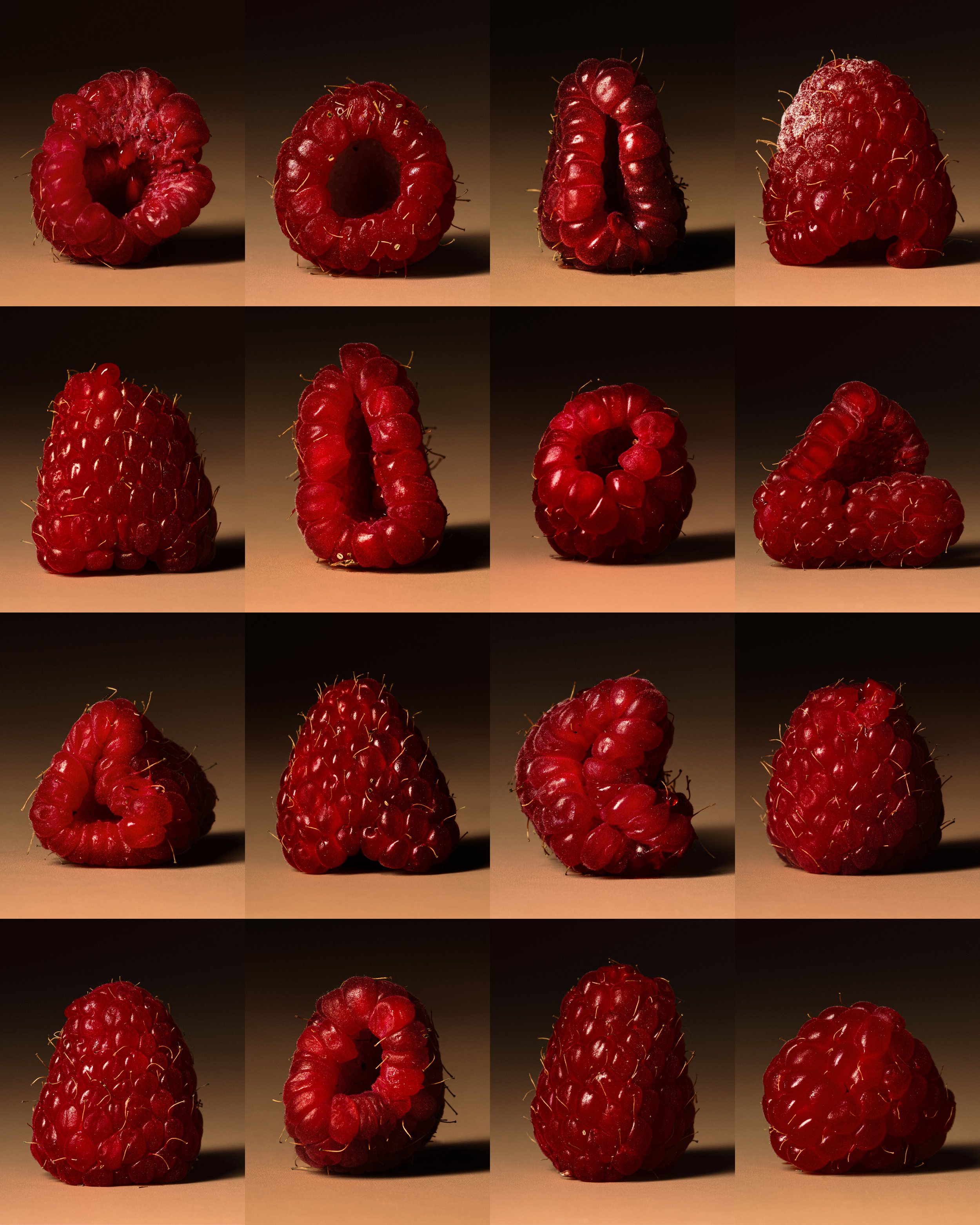 RASBERRIES 3.jpg