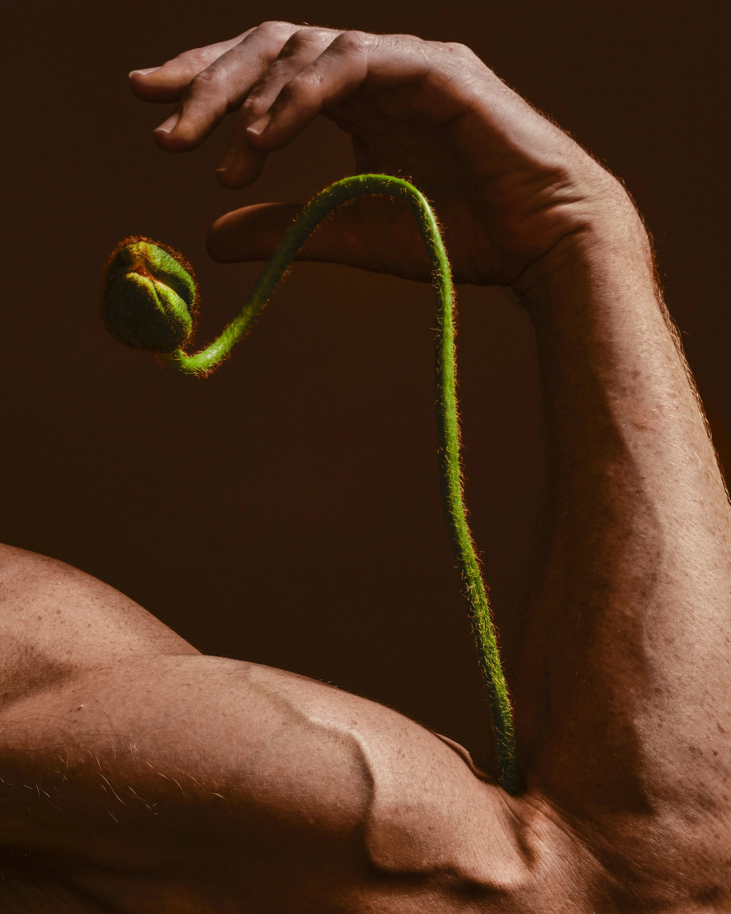 SuzanneSaroff_Paul_Poppies-1v3 3.JPG