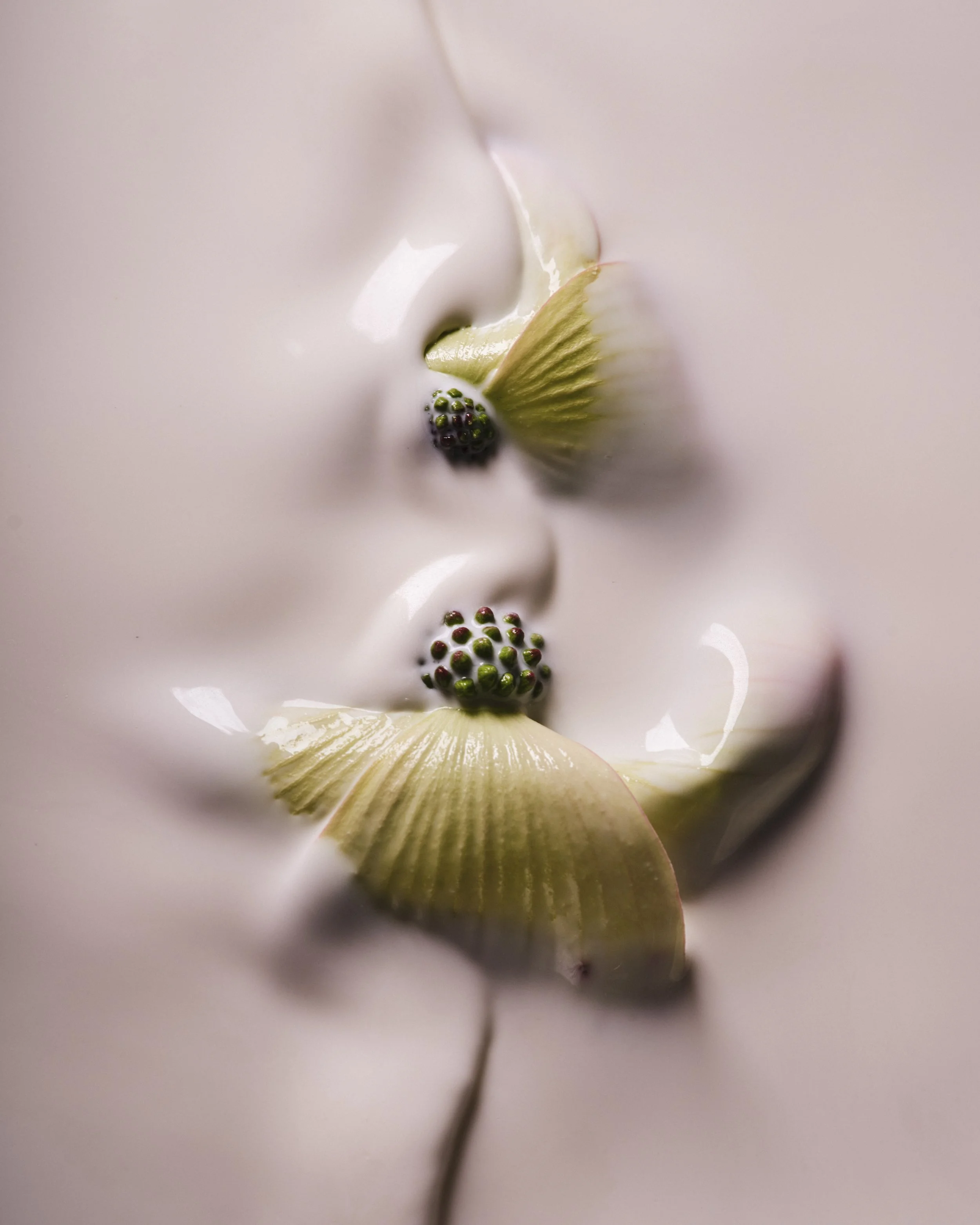 Saroff_BreathingFlowers_2025-20.jpg