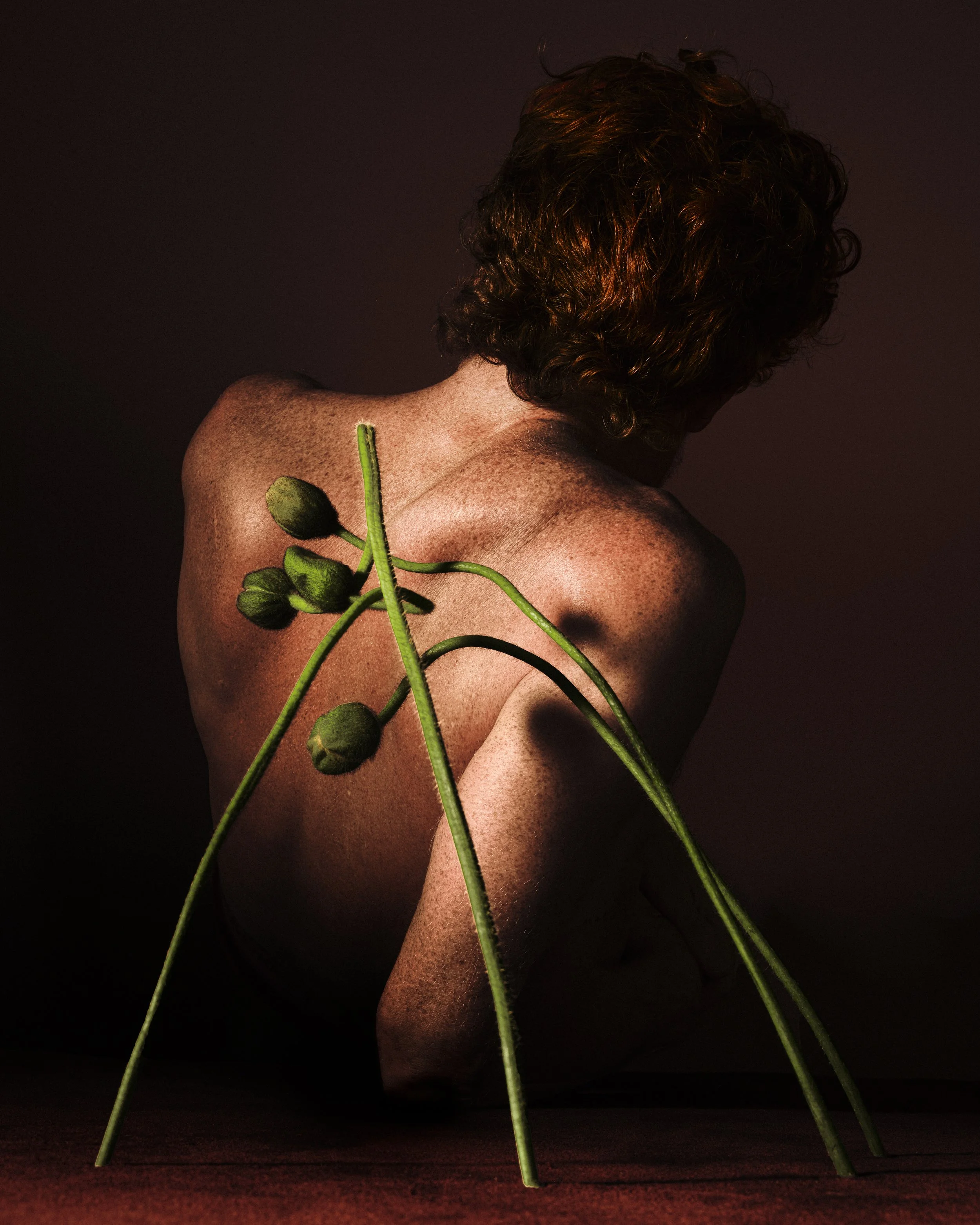 SuzanneSaroff_Paul_Poppies-3 2.JPG