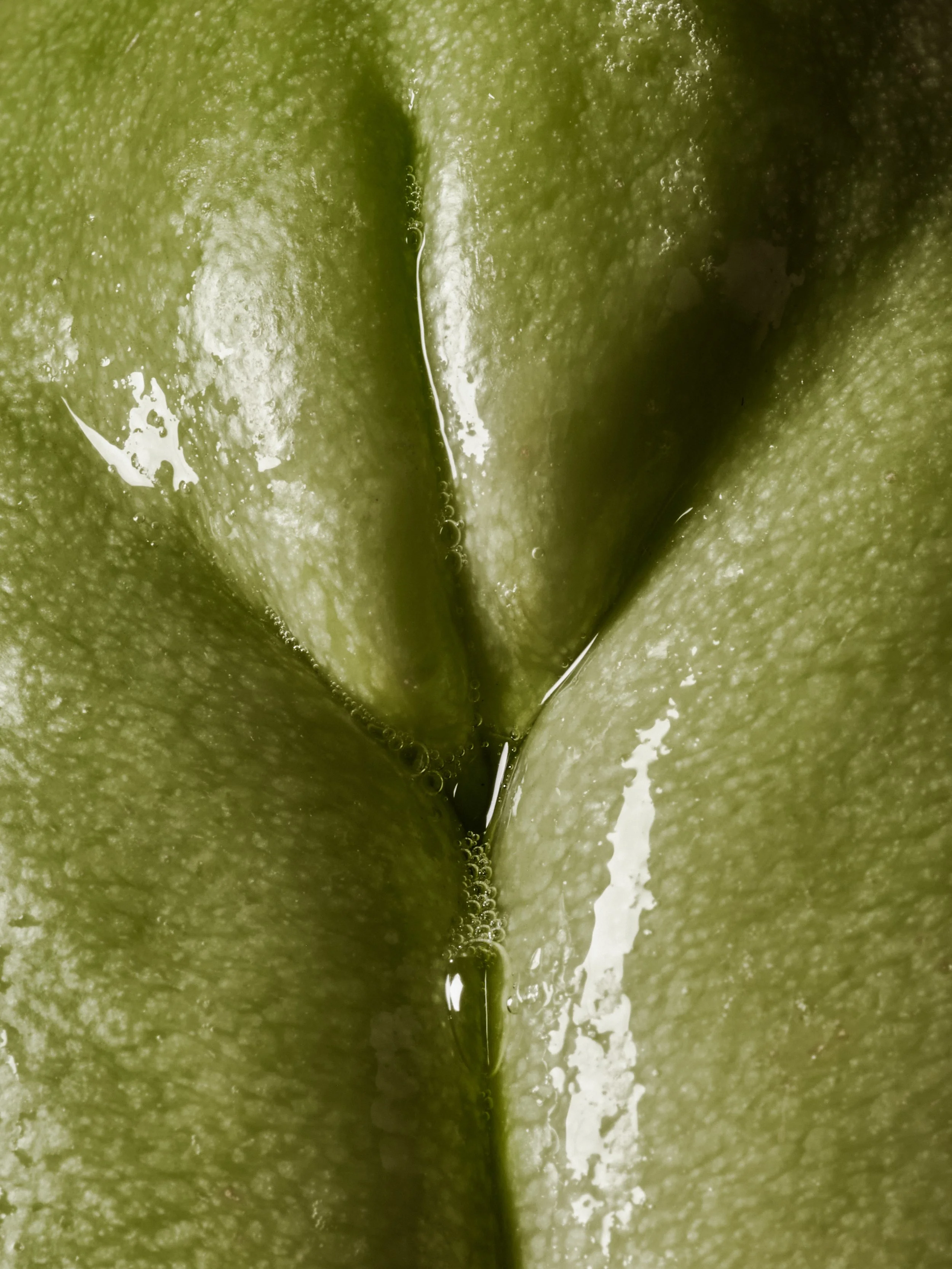 Saroff_TUSH56_BeautySex-21623 2.JPG