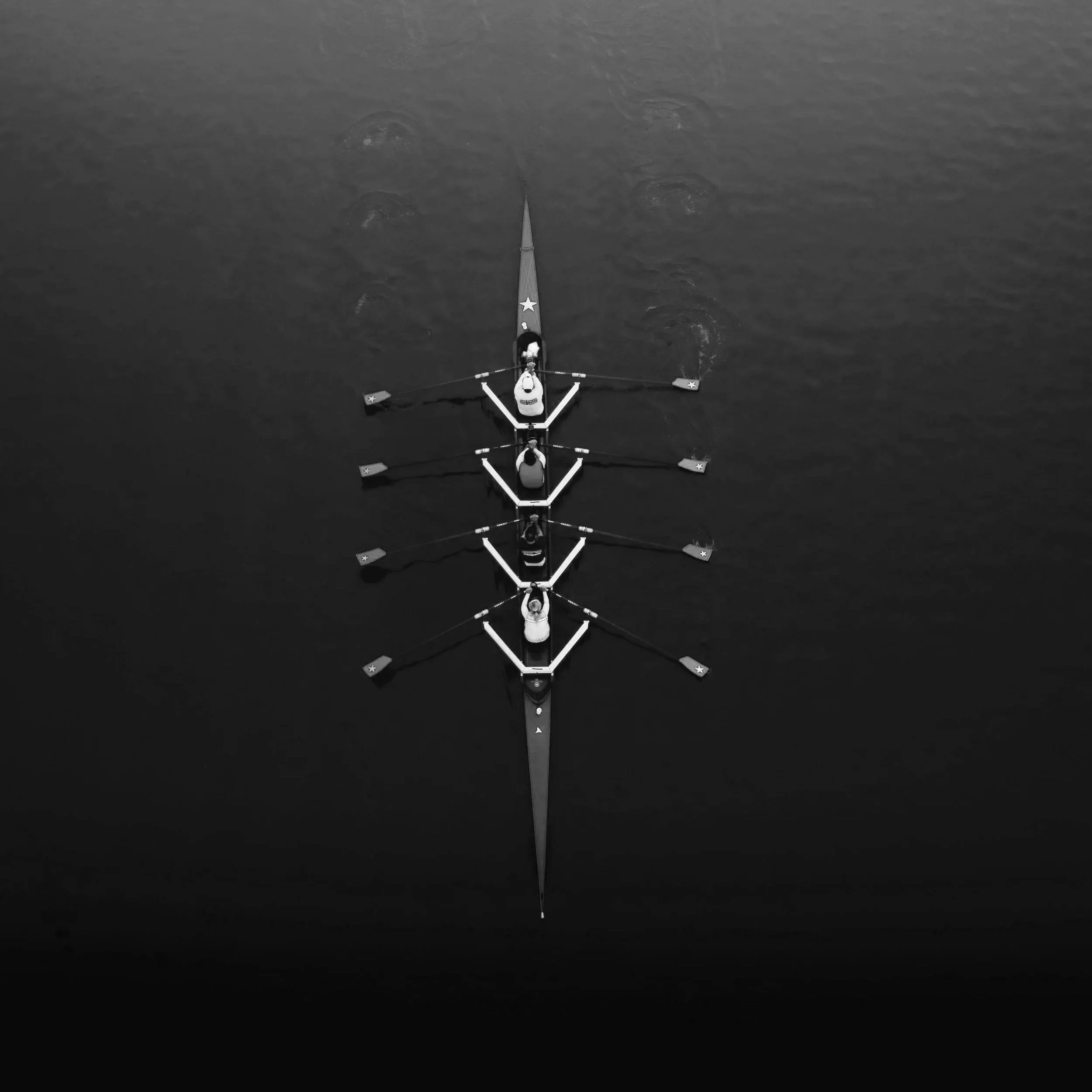 Multiple sailboats on calm blue water near green island shoreline under a clear sky.