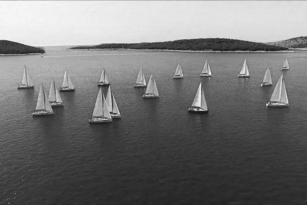 Multiple sailboats on calm blue water near green island shoreline under a clear sky.