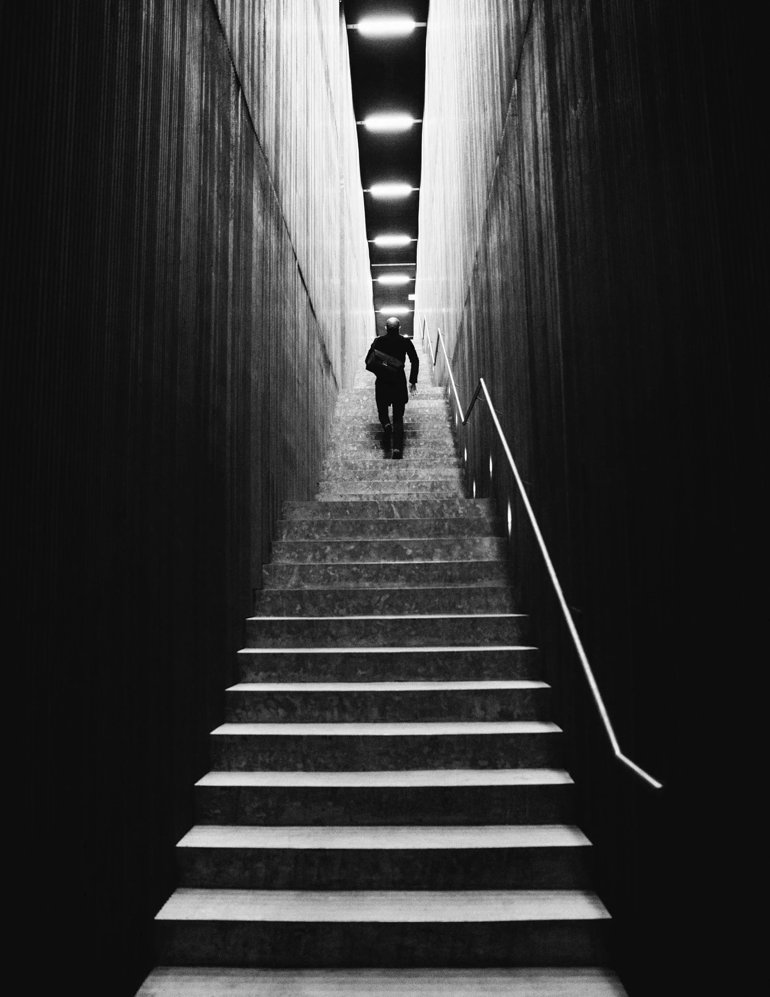 Multiple sailboats on calm blue water near green island shoreline under a clear sky.