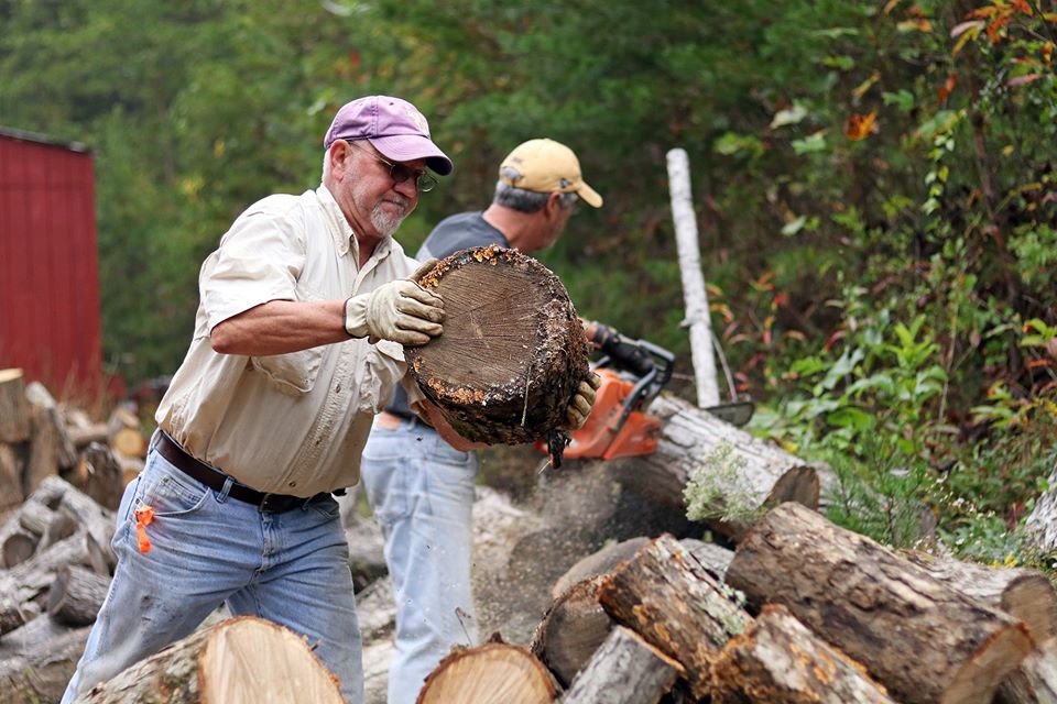 Two men cutting up a tree trunk with chainsaw