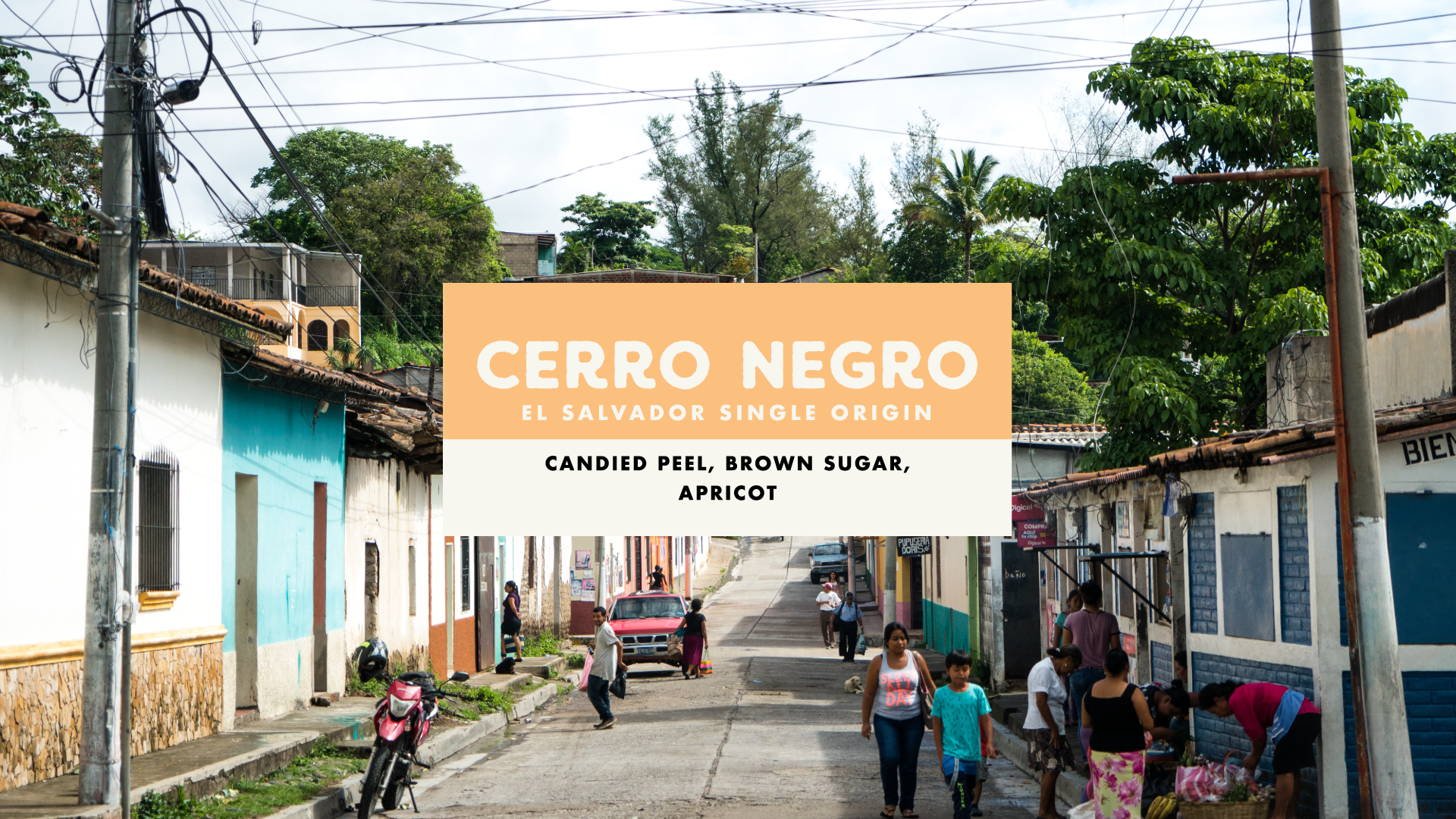 Cerro Negro Washed El Salvador Single Origin Foundation Coffee Roasters St Ives Cornwall