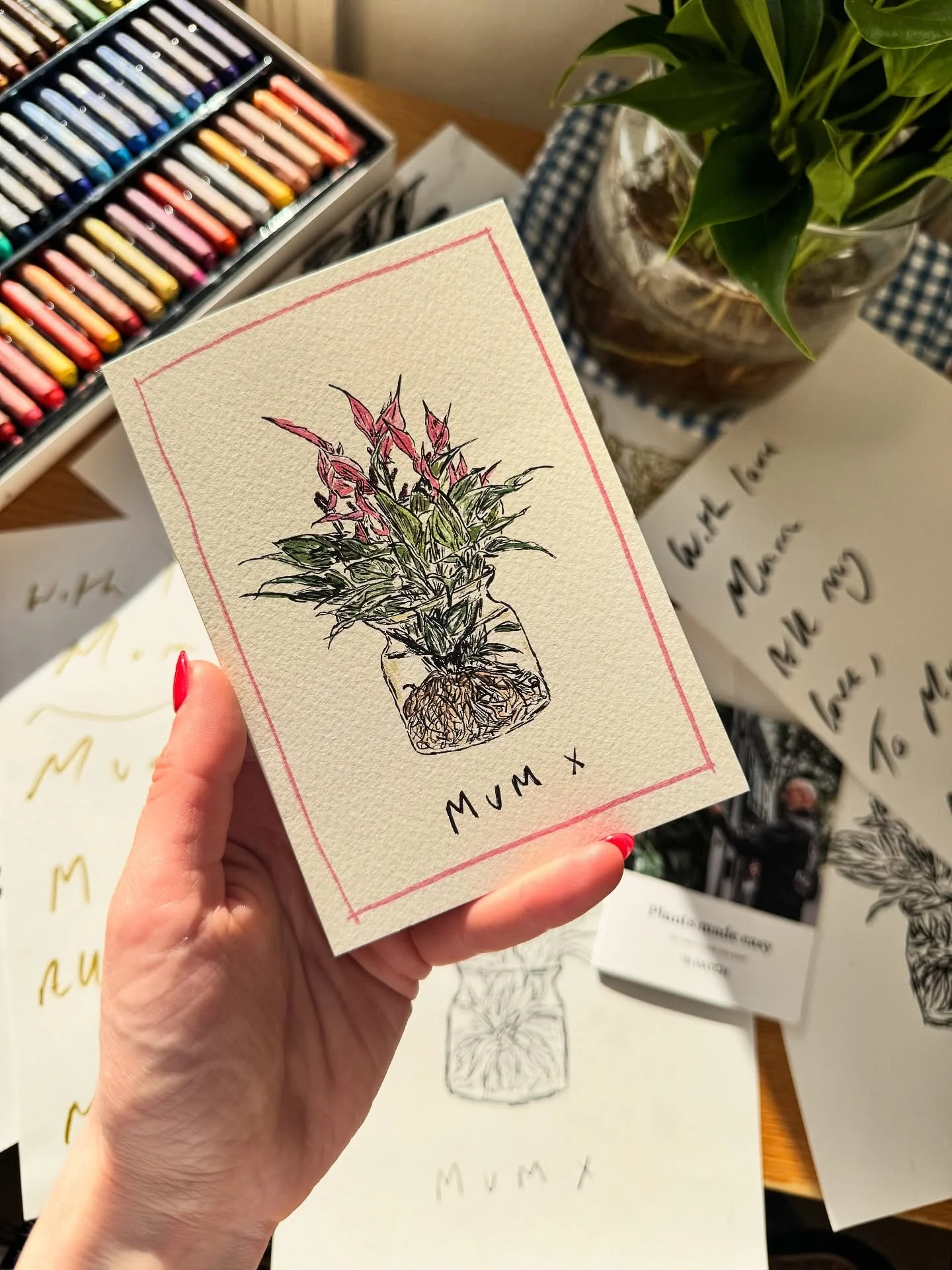 Super excited to share that I have illustrated the lovely Rachel In Glass Anthurium Lilli plant as part of their Mother&rsquo;s Day gifting this Spring🌷🎀🫶

This was such a joy to draw and bring all the little details to life. Plants aren&rsquo;t m