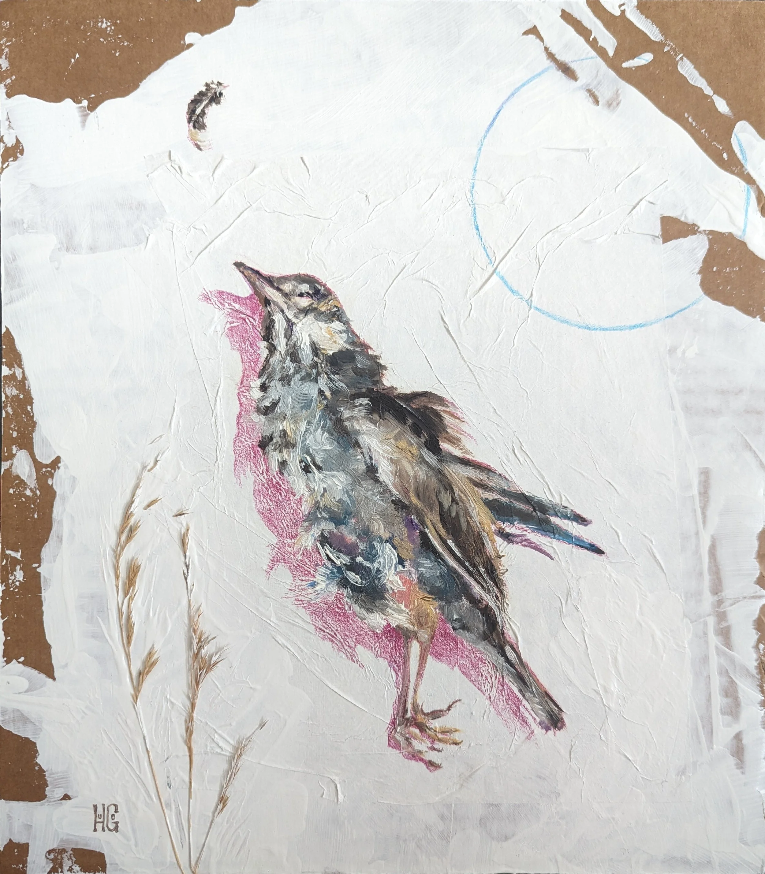 The Last Song Thrush
25 x 35cm