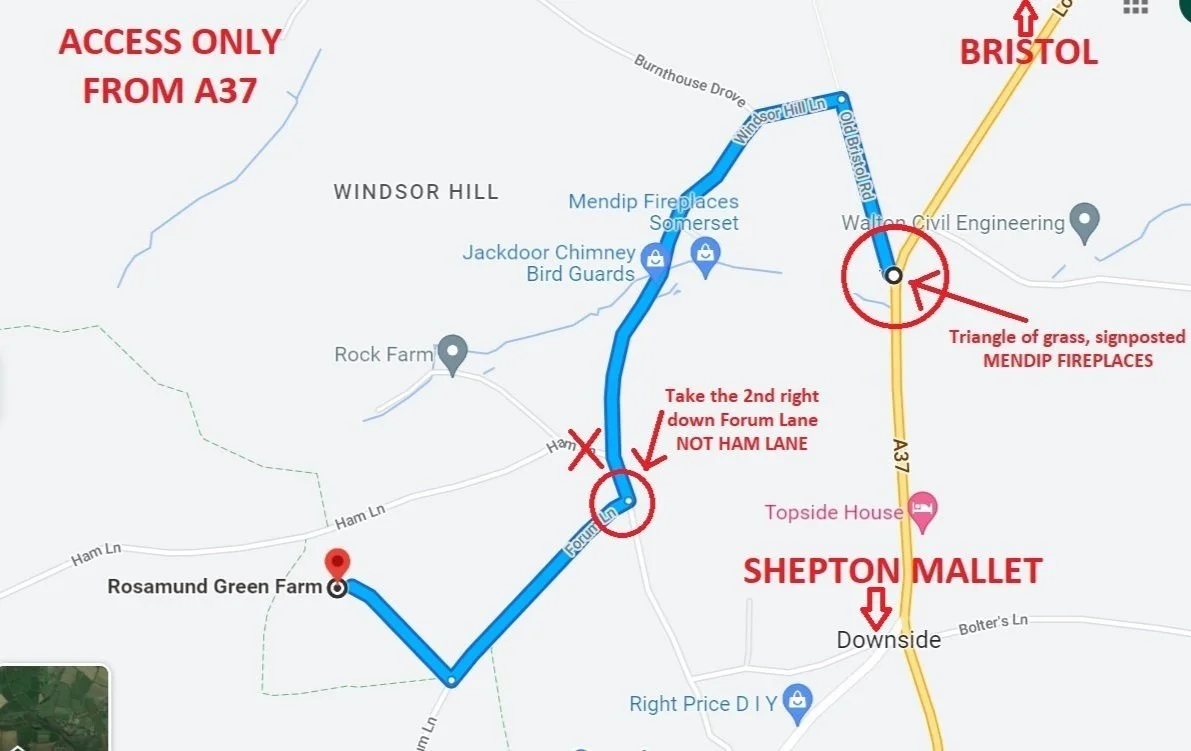 Contact — Team Dumas