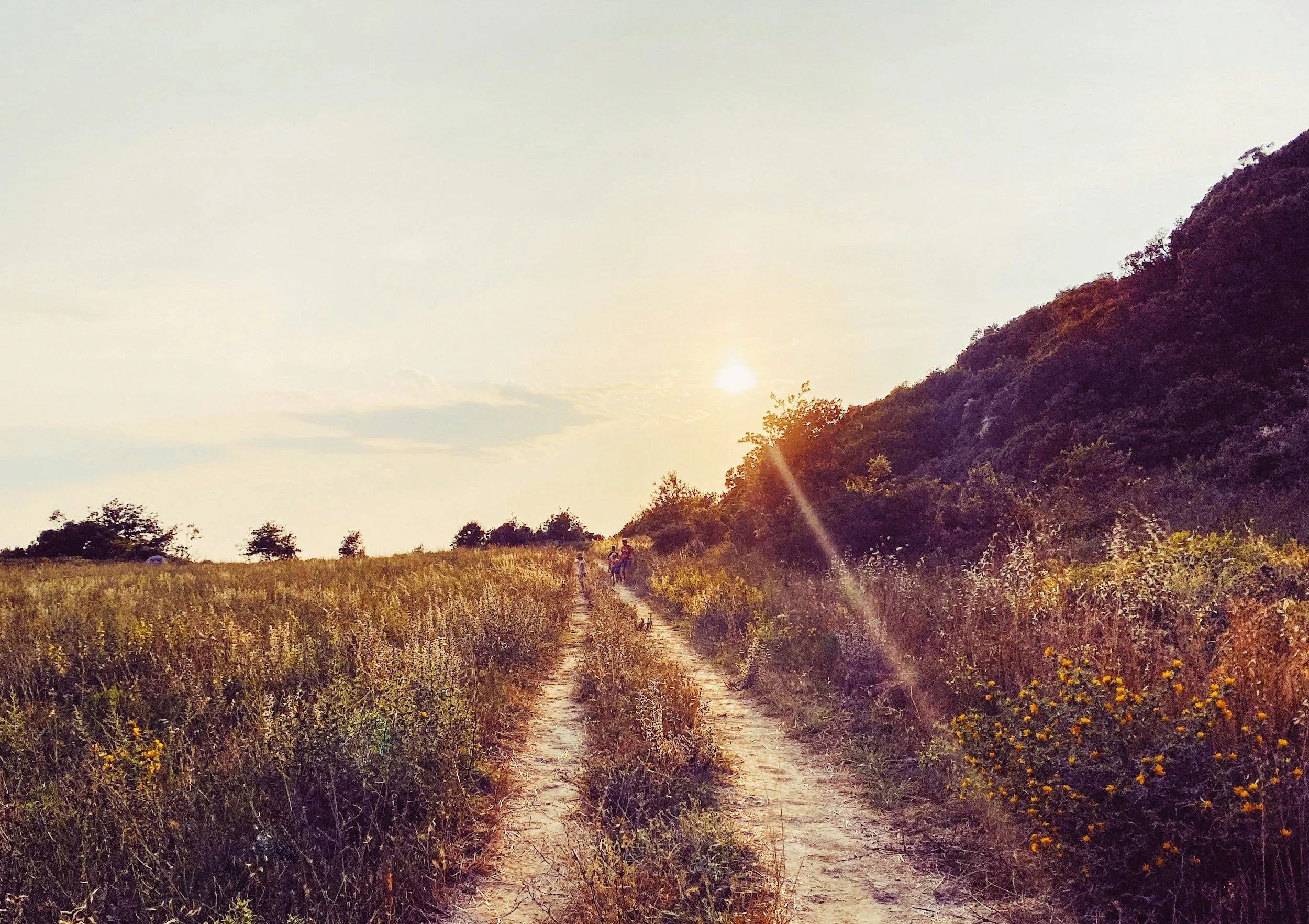 Why Betrayal Trauma Recovery Isn't Linear