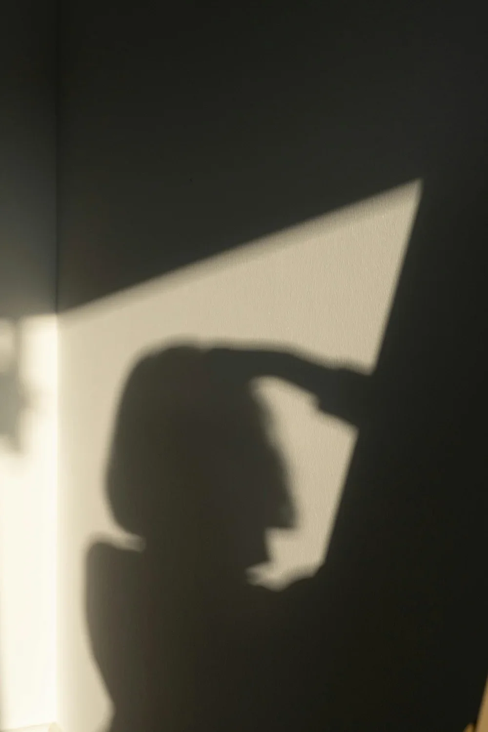 High-Conflict Divorce or Post-Separation Abuse: Understanding the Difference