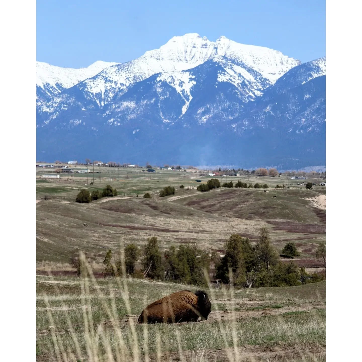 Happy Earth Day! We care deeply for our Earth and natural areas. We can think of no better way to commemorate the day than sharing our experience at the National Bison Range in Montana. Come check out the video at the link in our bio!

If you're plan