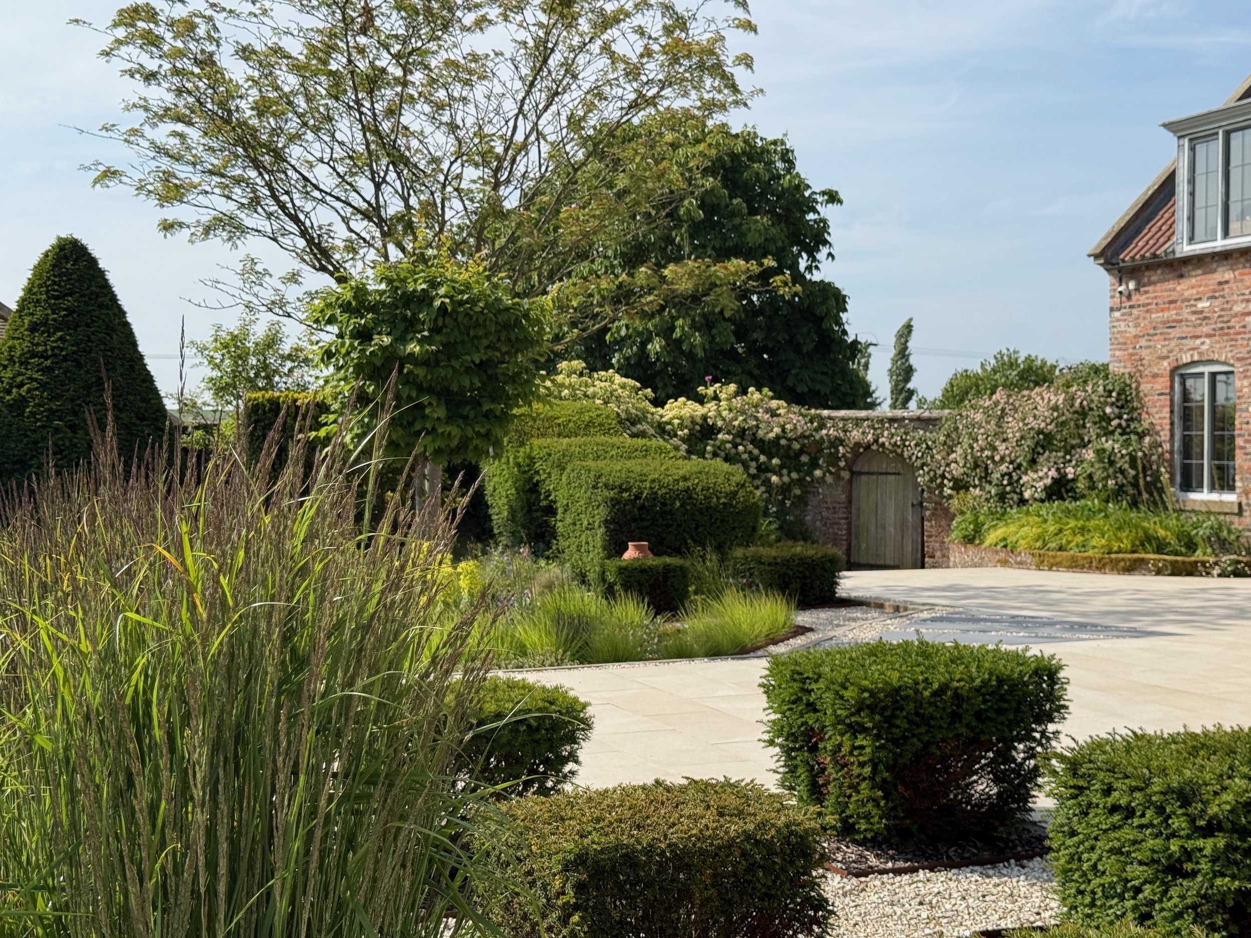 Topiarised yews in a Modern Yorkshire Garden
