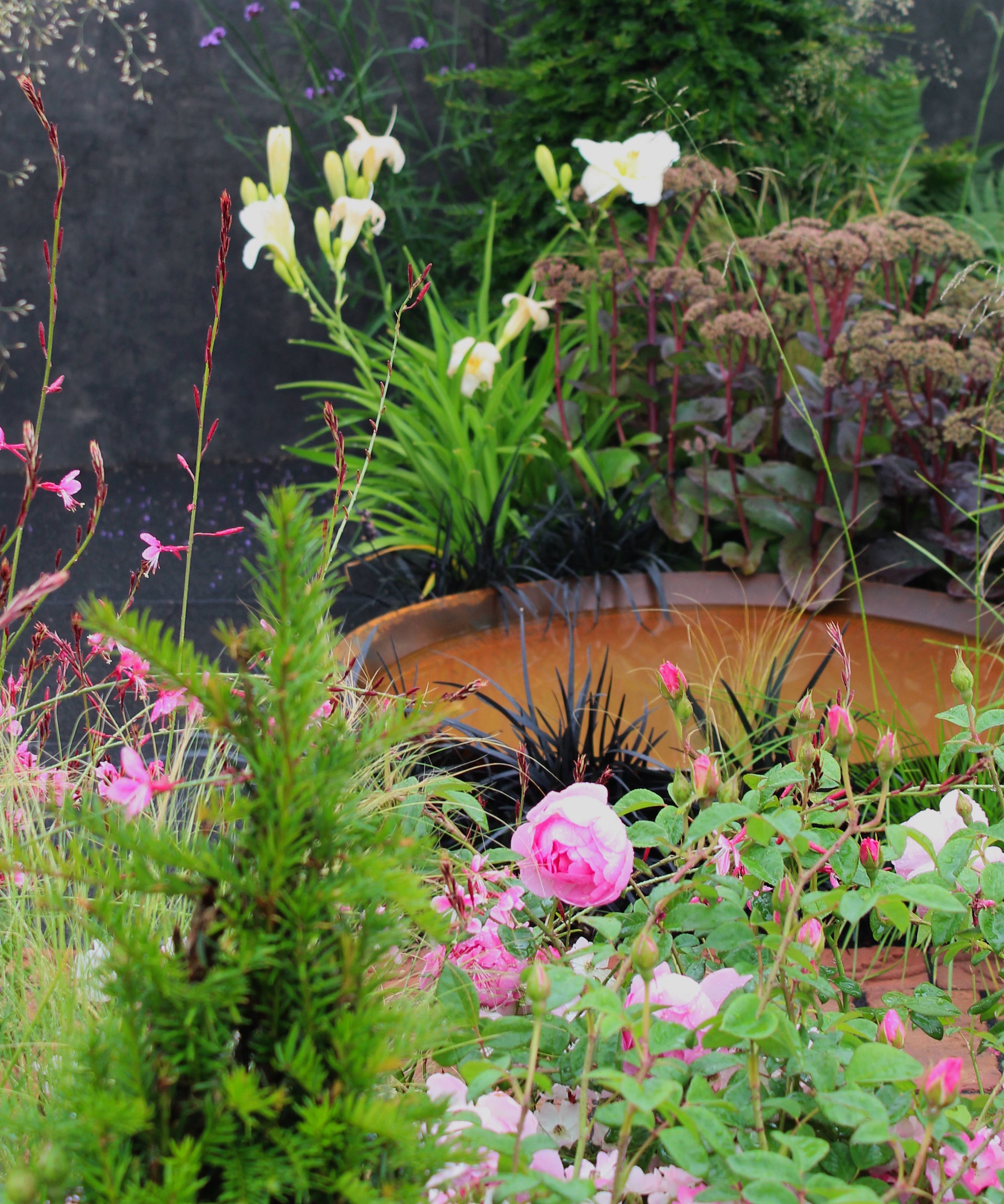 what-to-prepare-before-speaking-to-a-garden-designer-haddon-studio