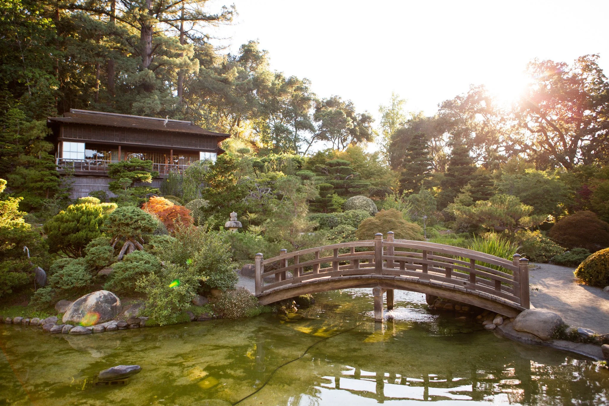 Japanese garden