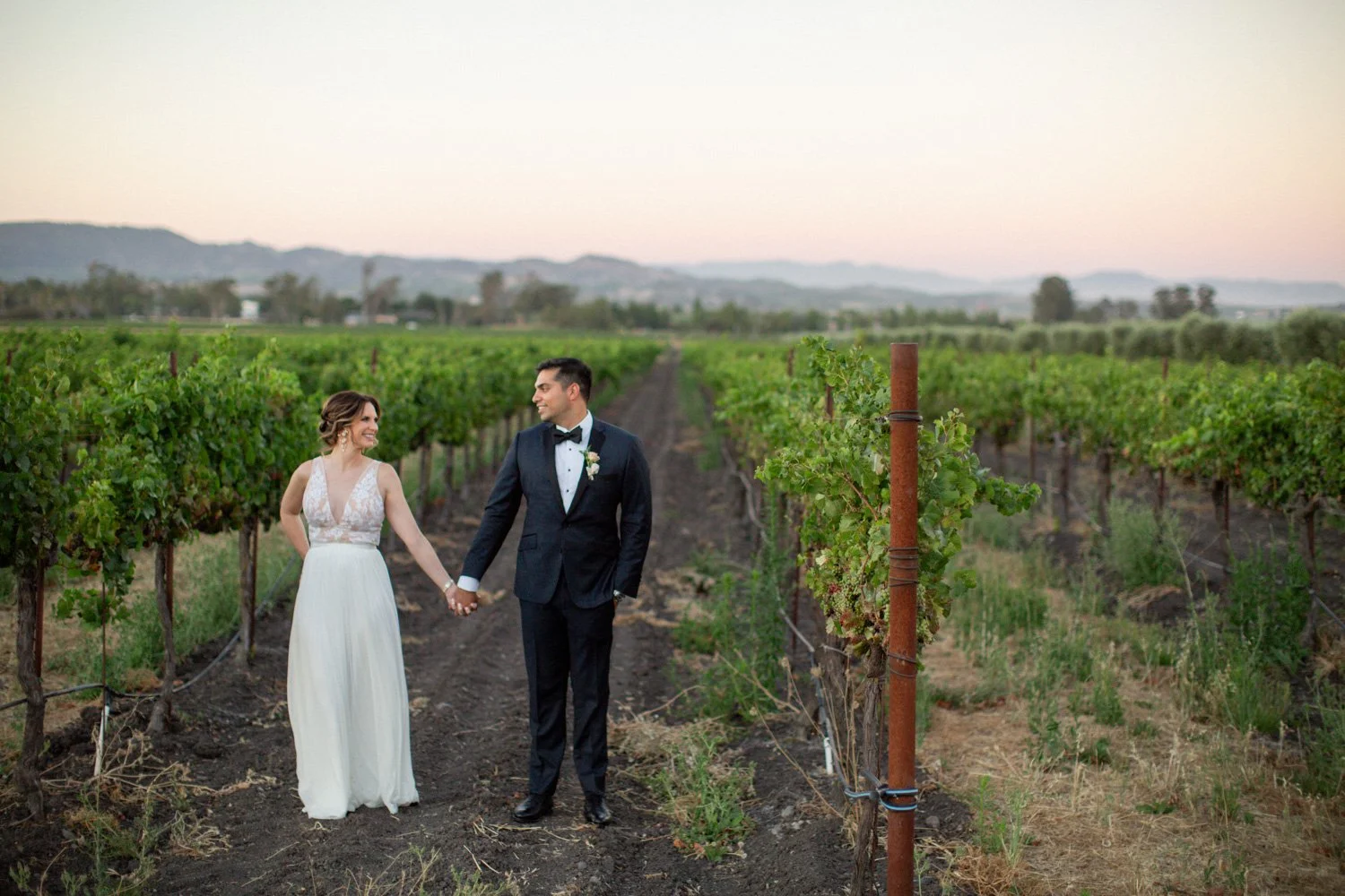 vineyard wedding