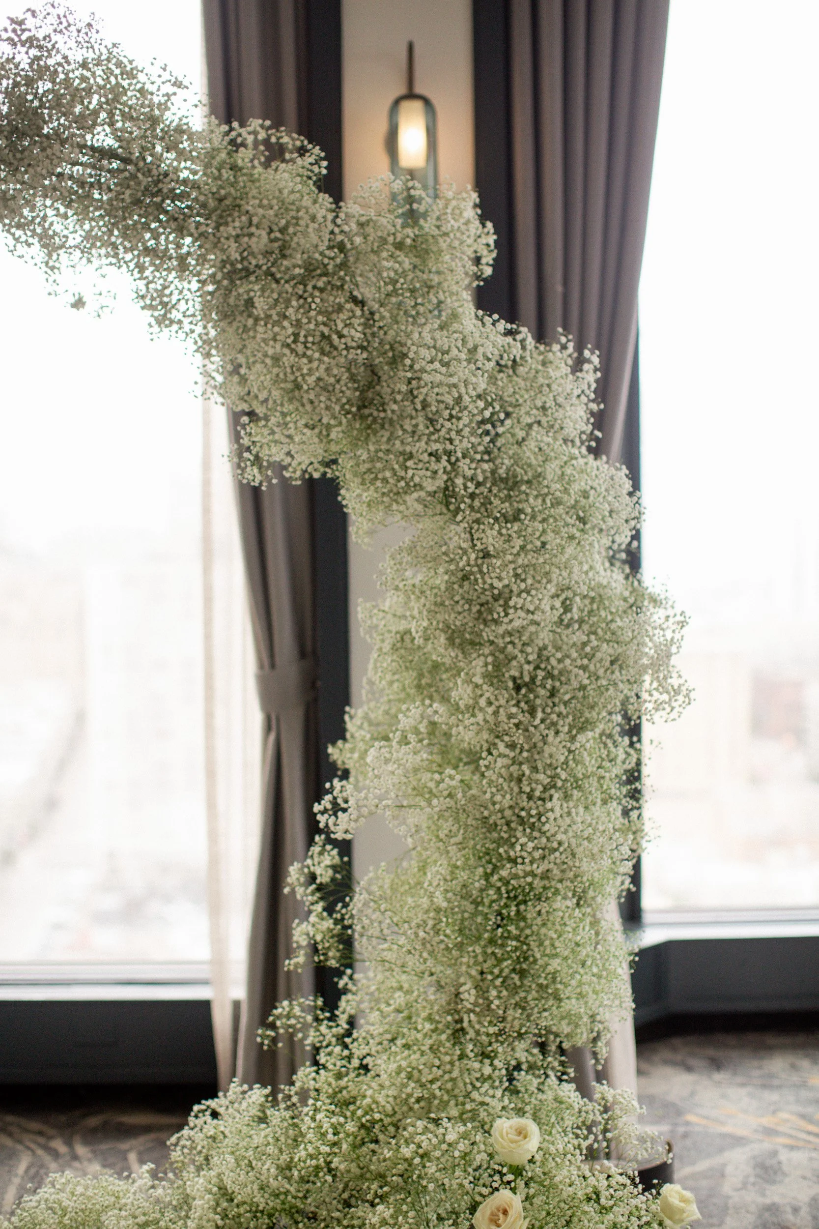baby's breath