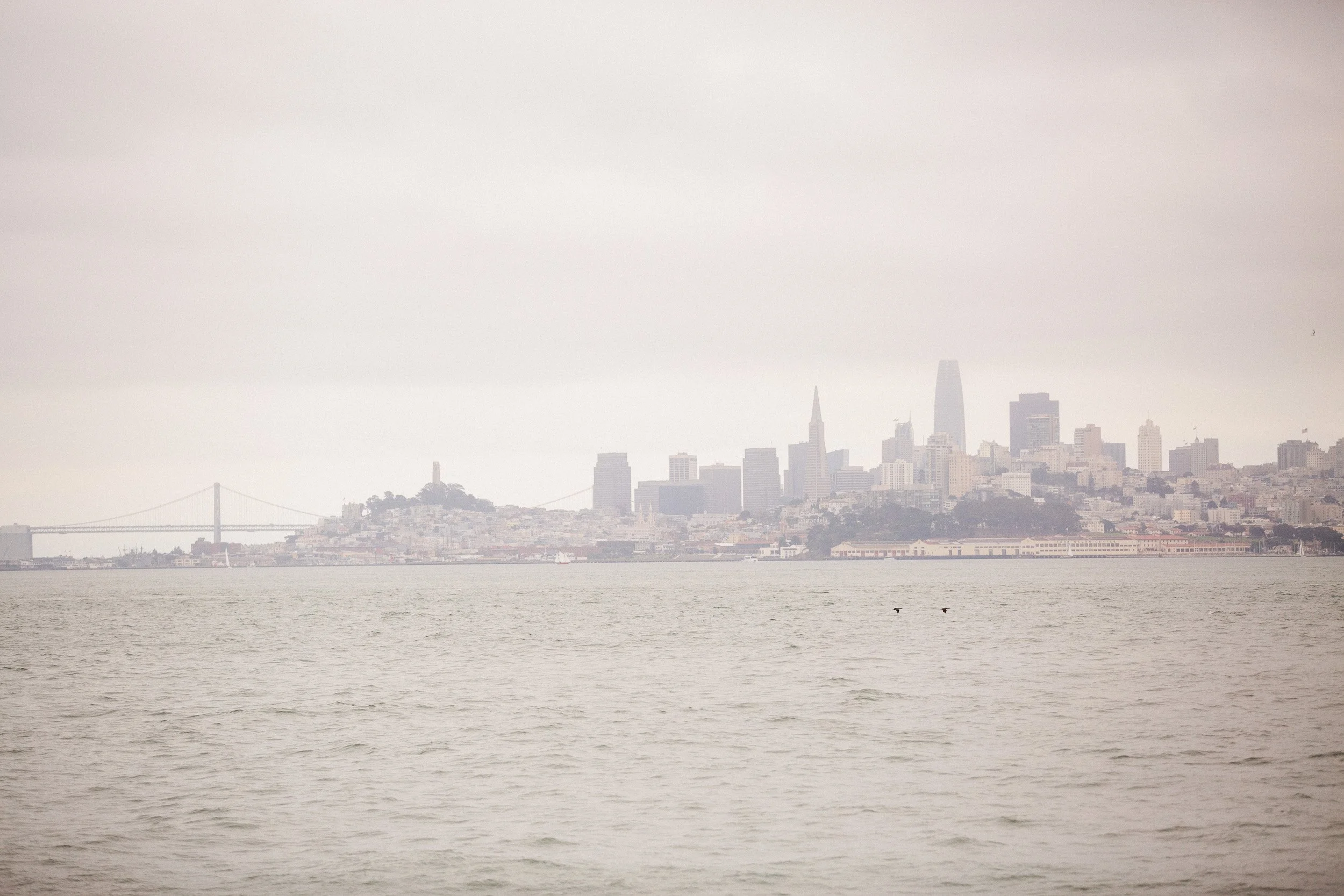 sf skyline