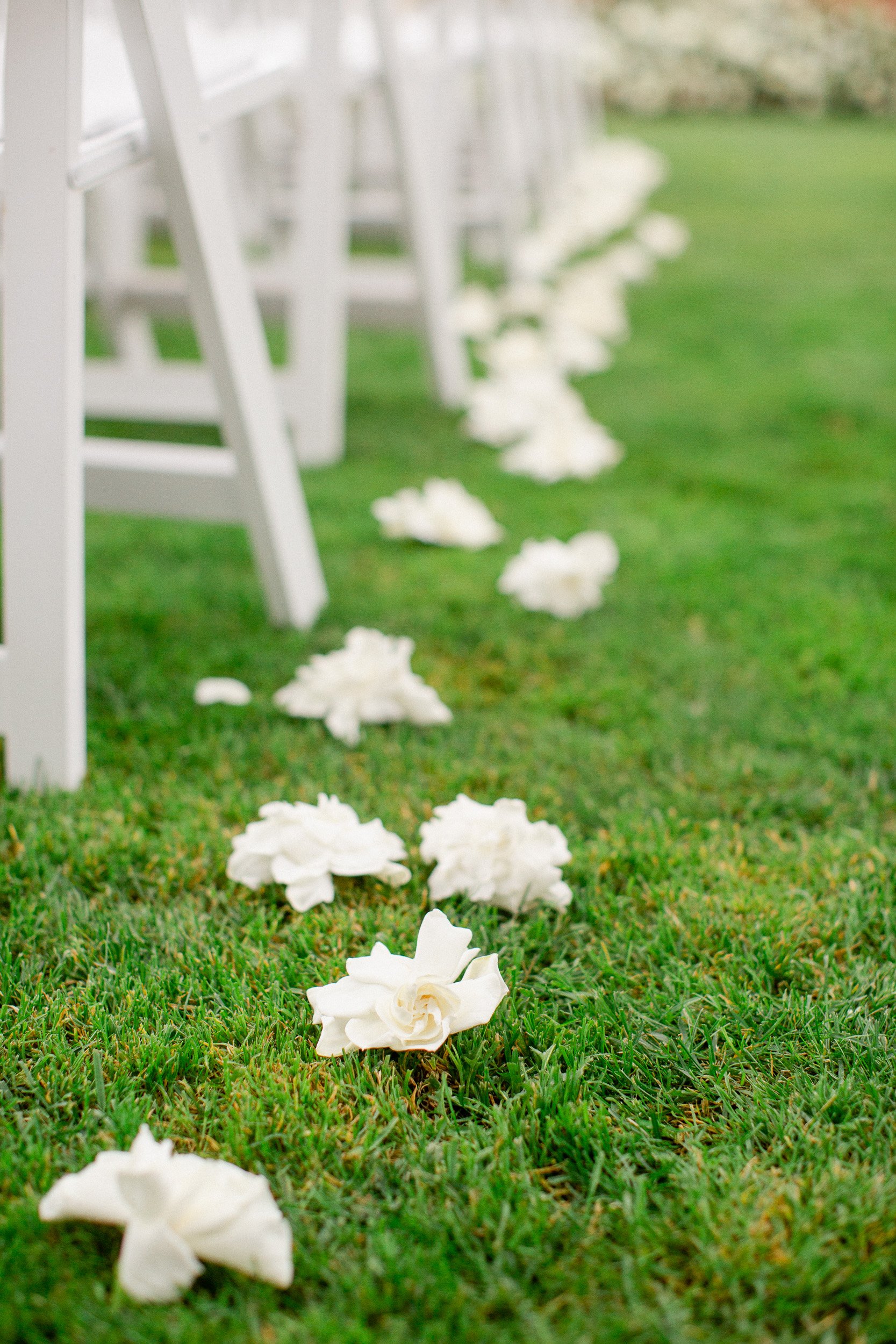 gardenia