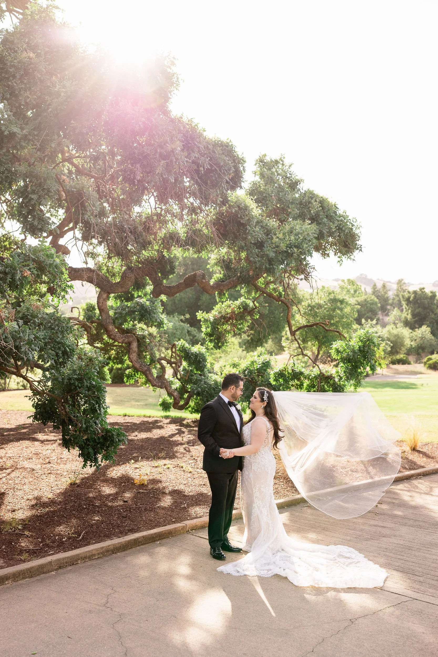 iconic oak tree wedding photo