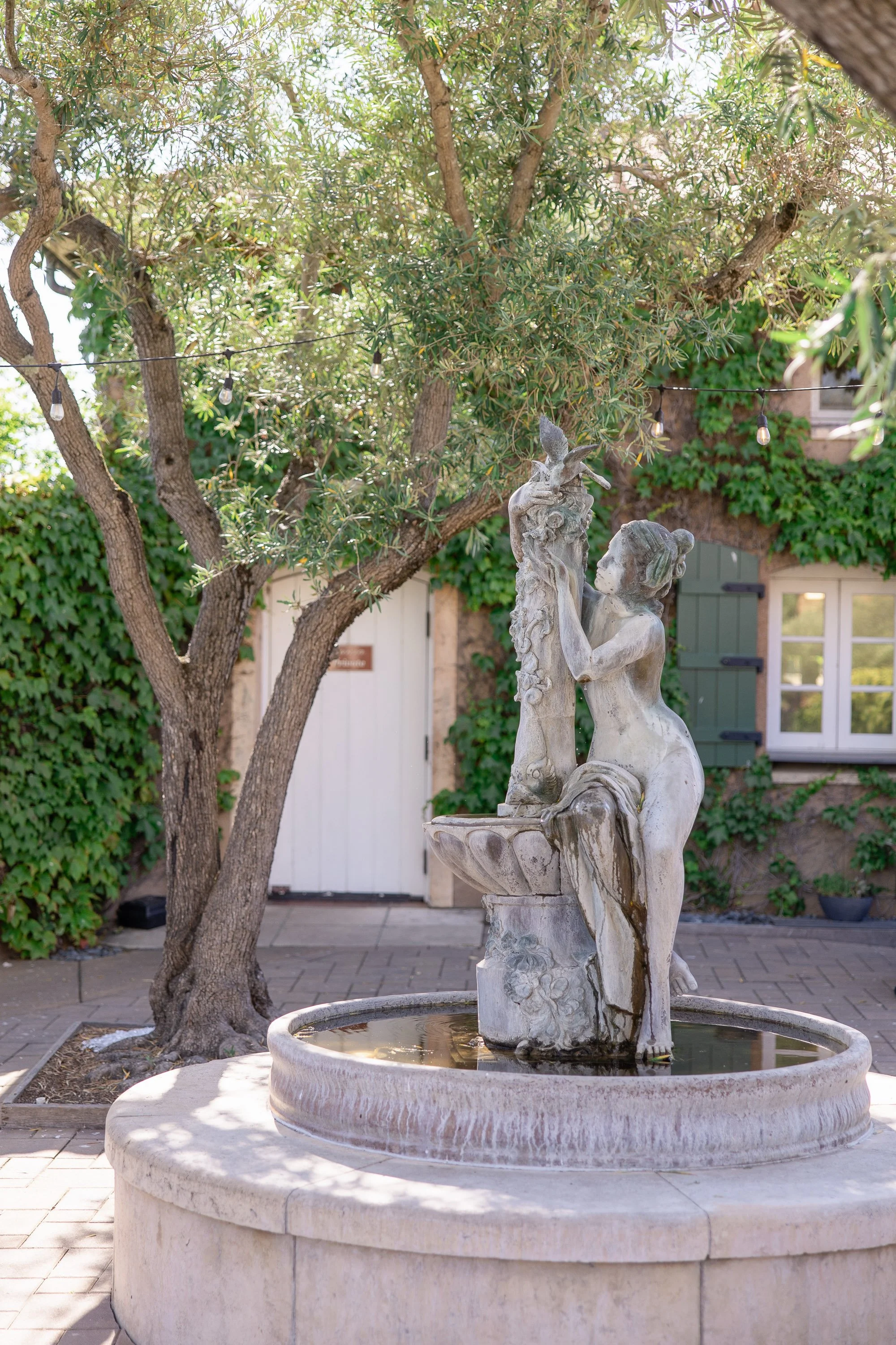 viansa garden