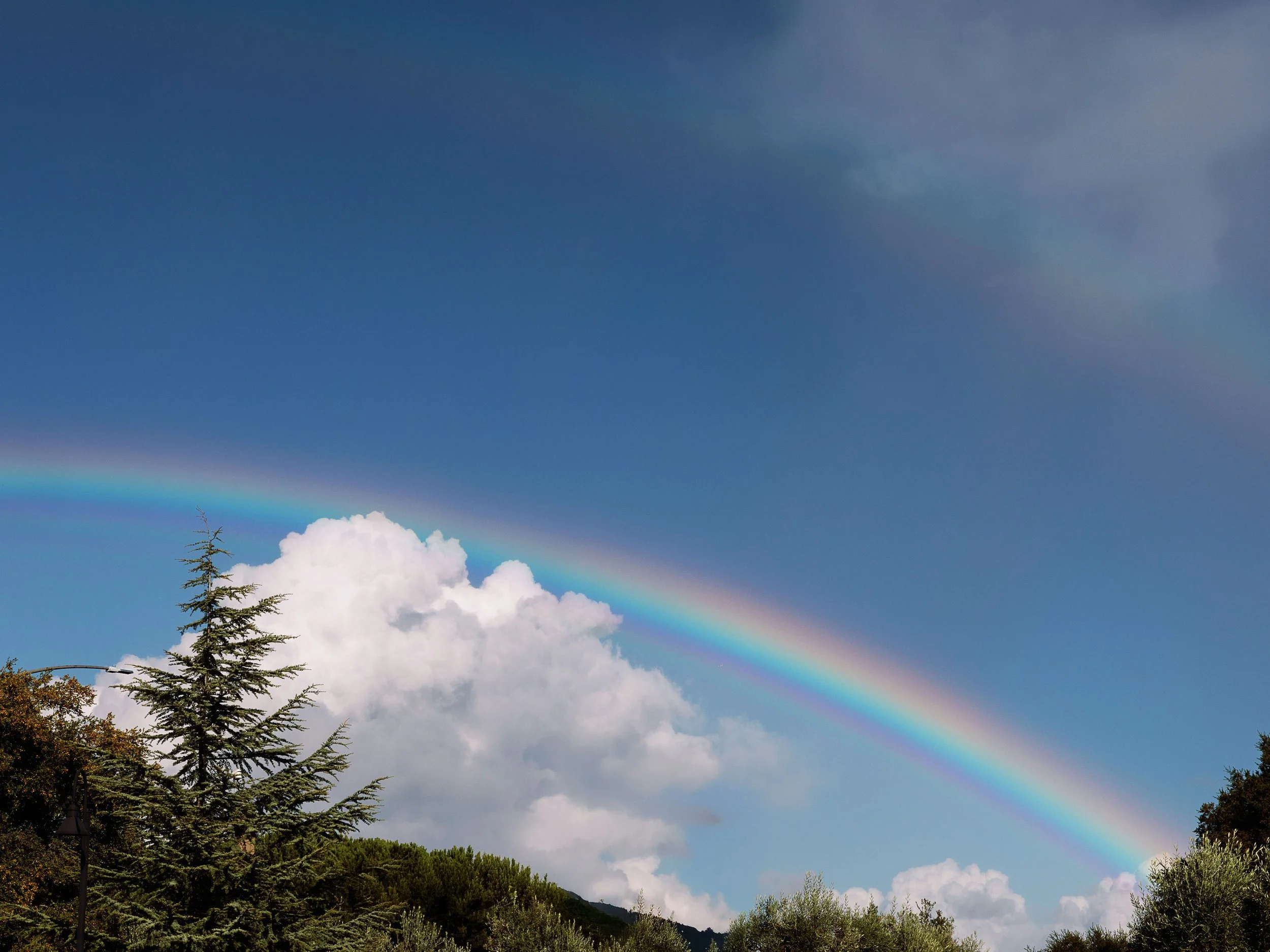 rainbow