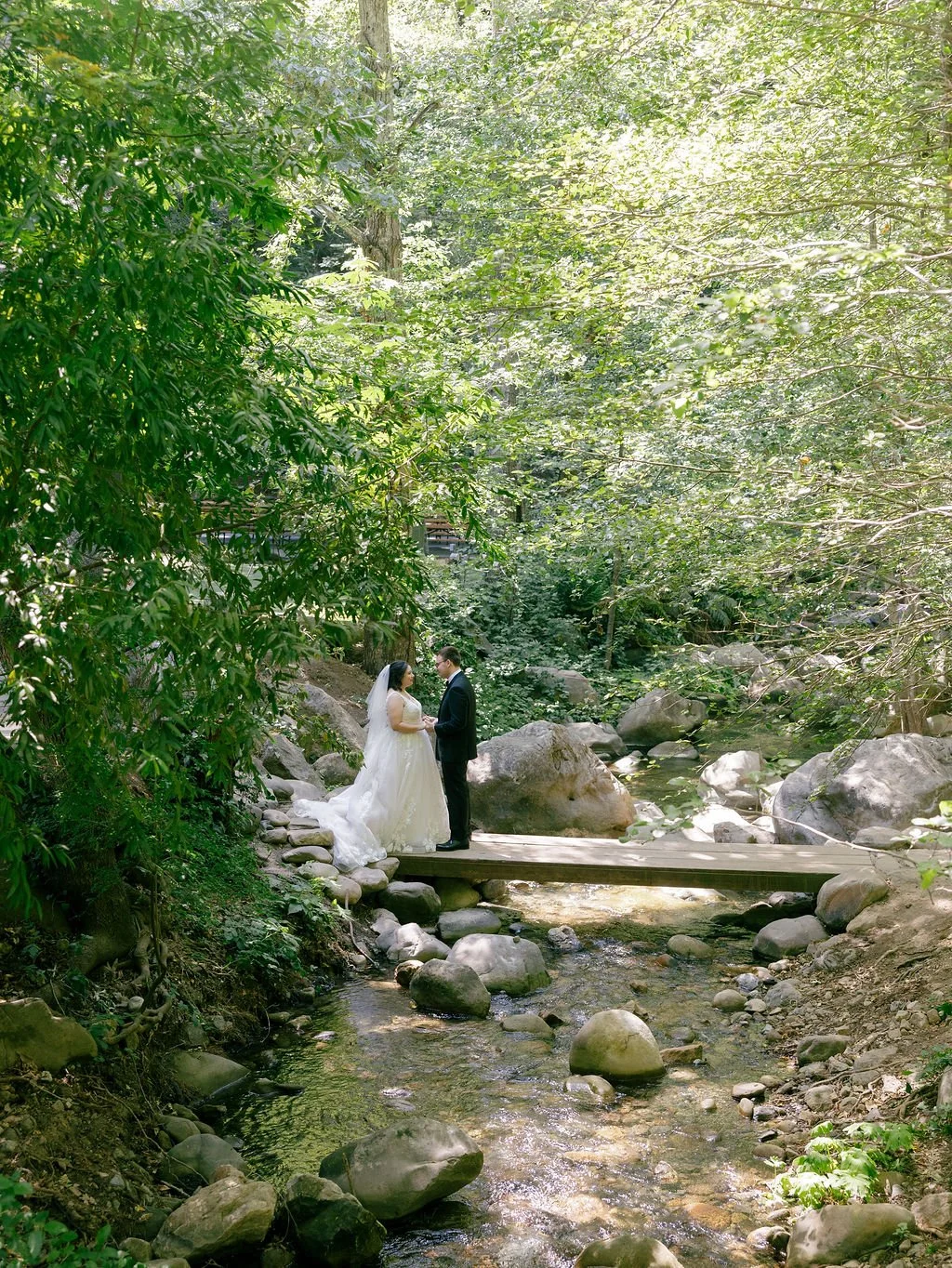 forest bay area wedding
