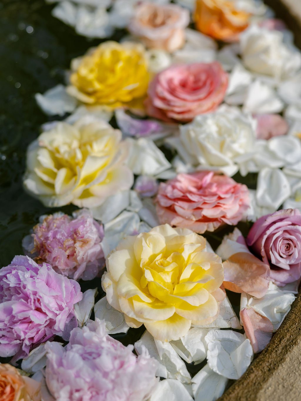 KatinaandEridWedding-274.jpg