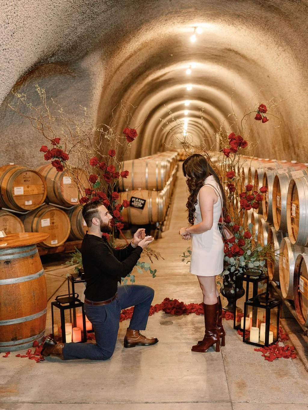 wine cave proposal
